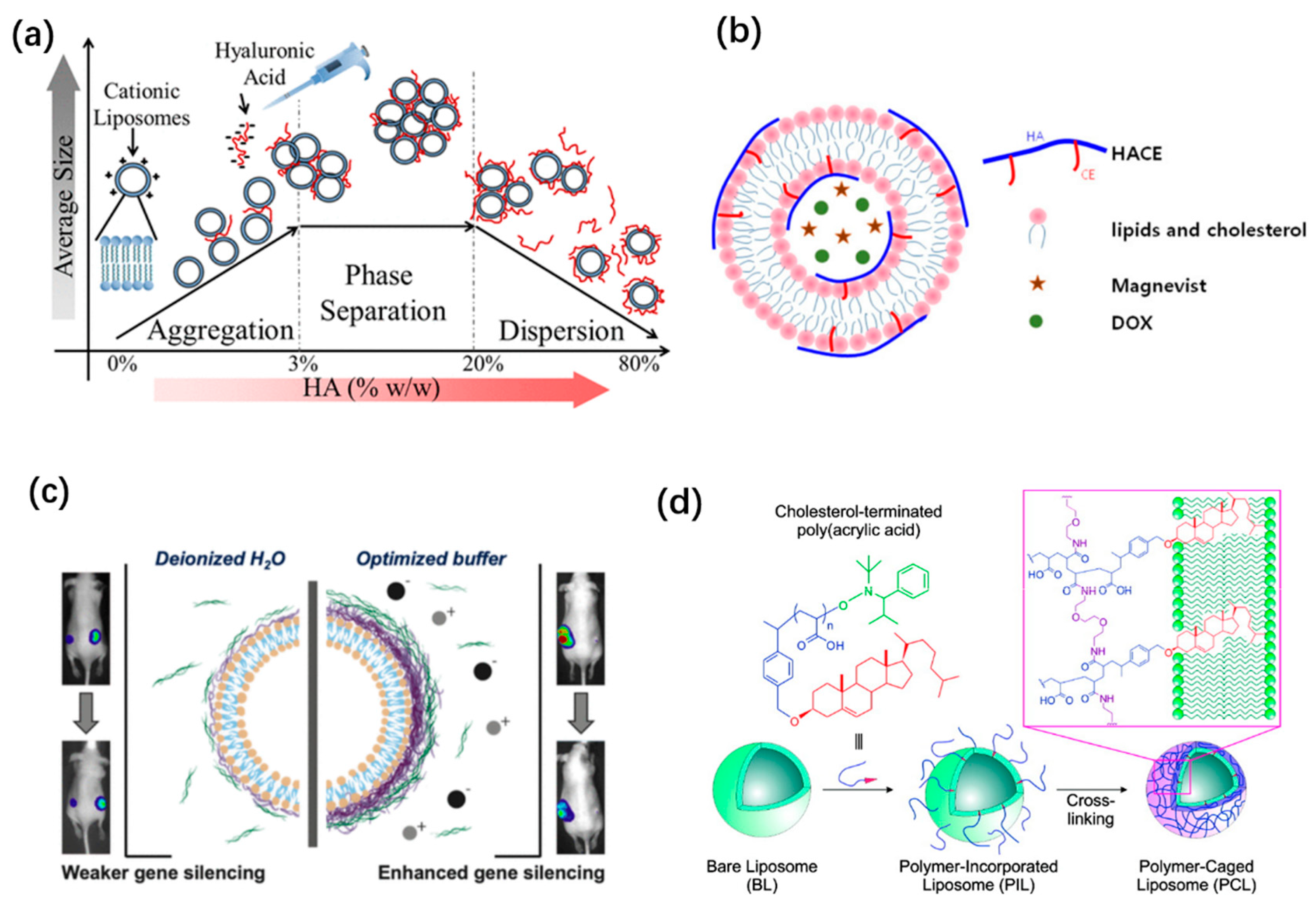 Pharmaceutics 14 00778 g005