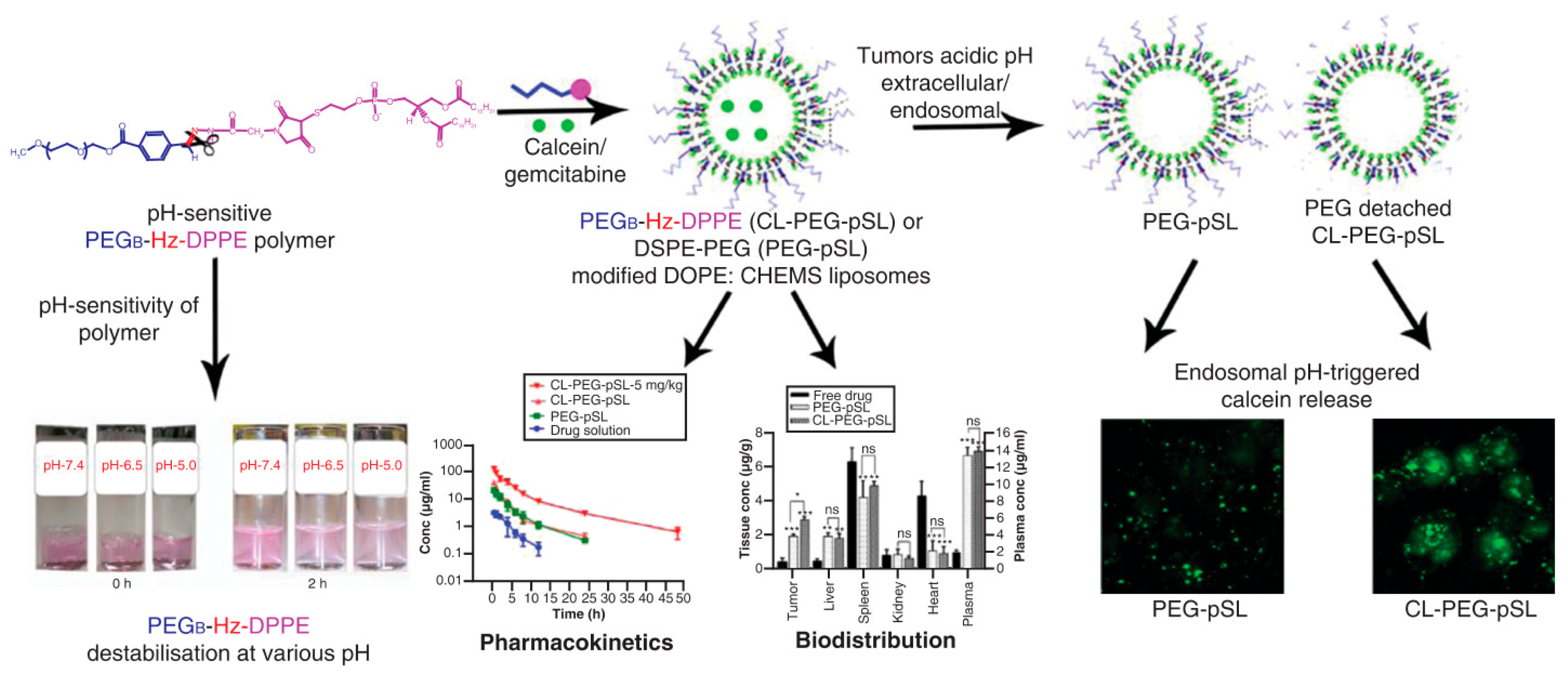 Pharmaceutics 14 00778 g006