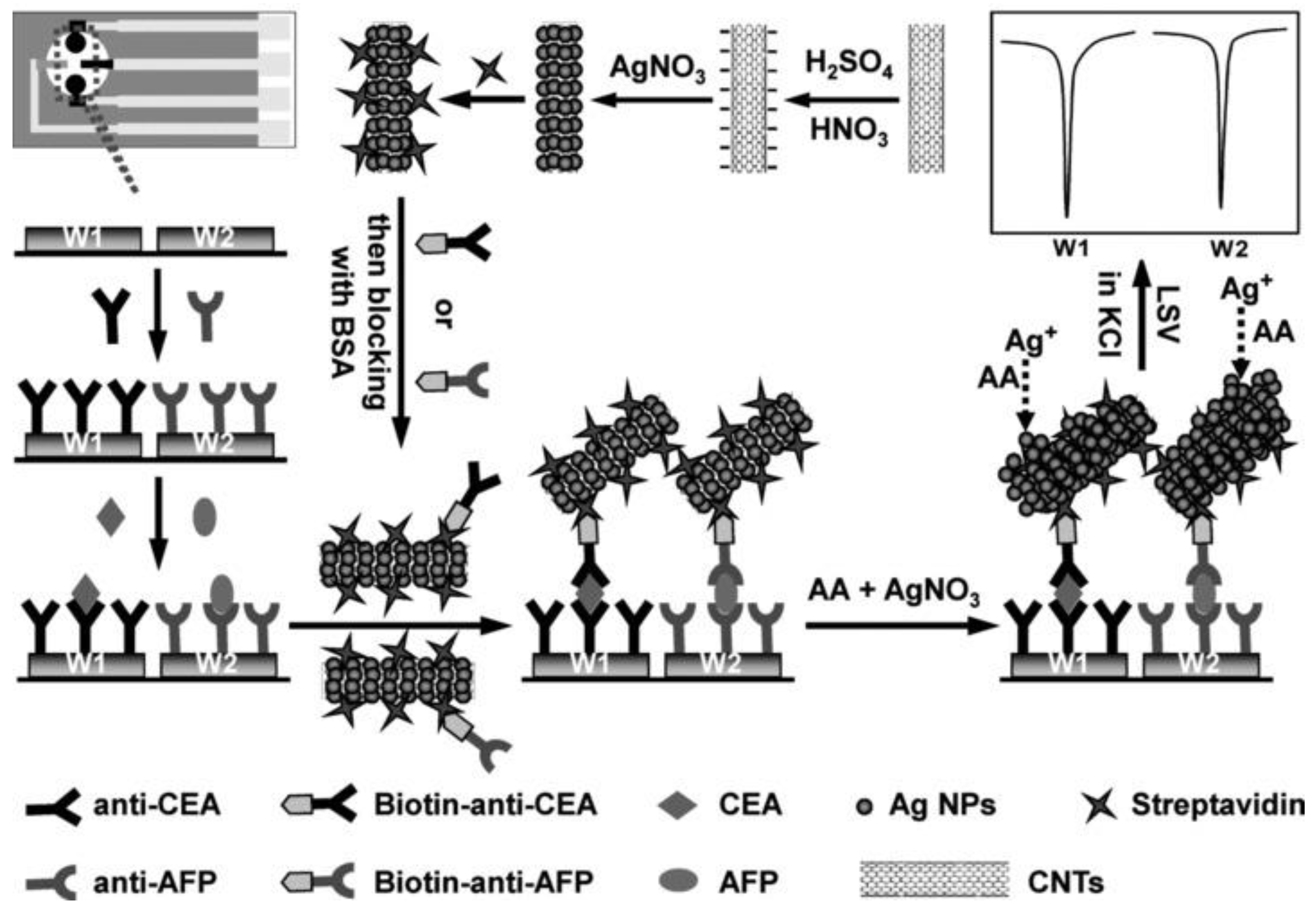 Pharmaceutics 14 00781 g001