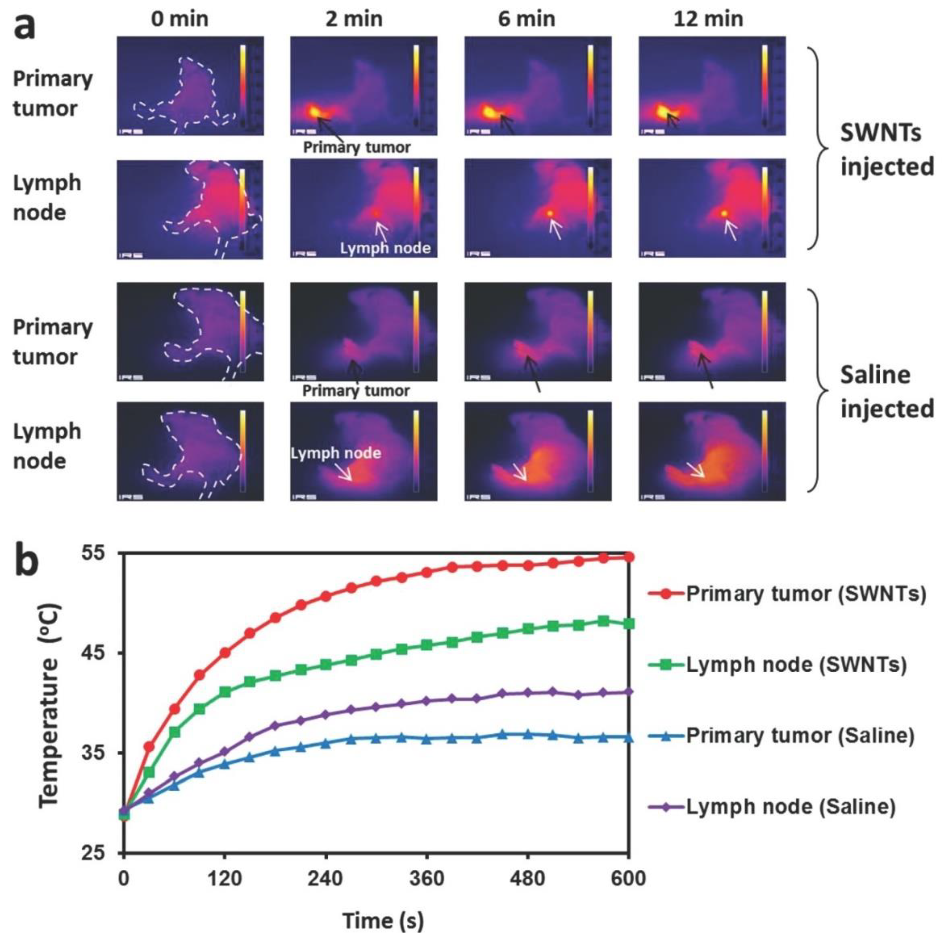 Pharmaceutics 14 00781 g002