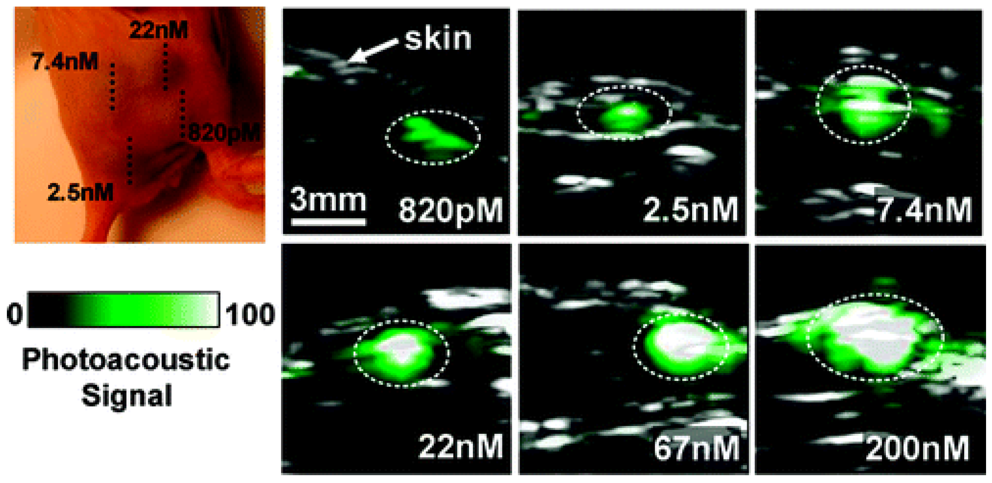 Pharmaceutics 14 00781 g003