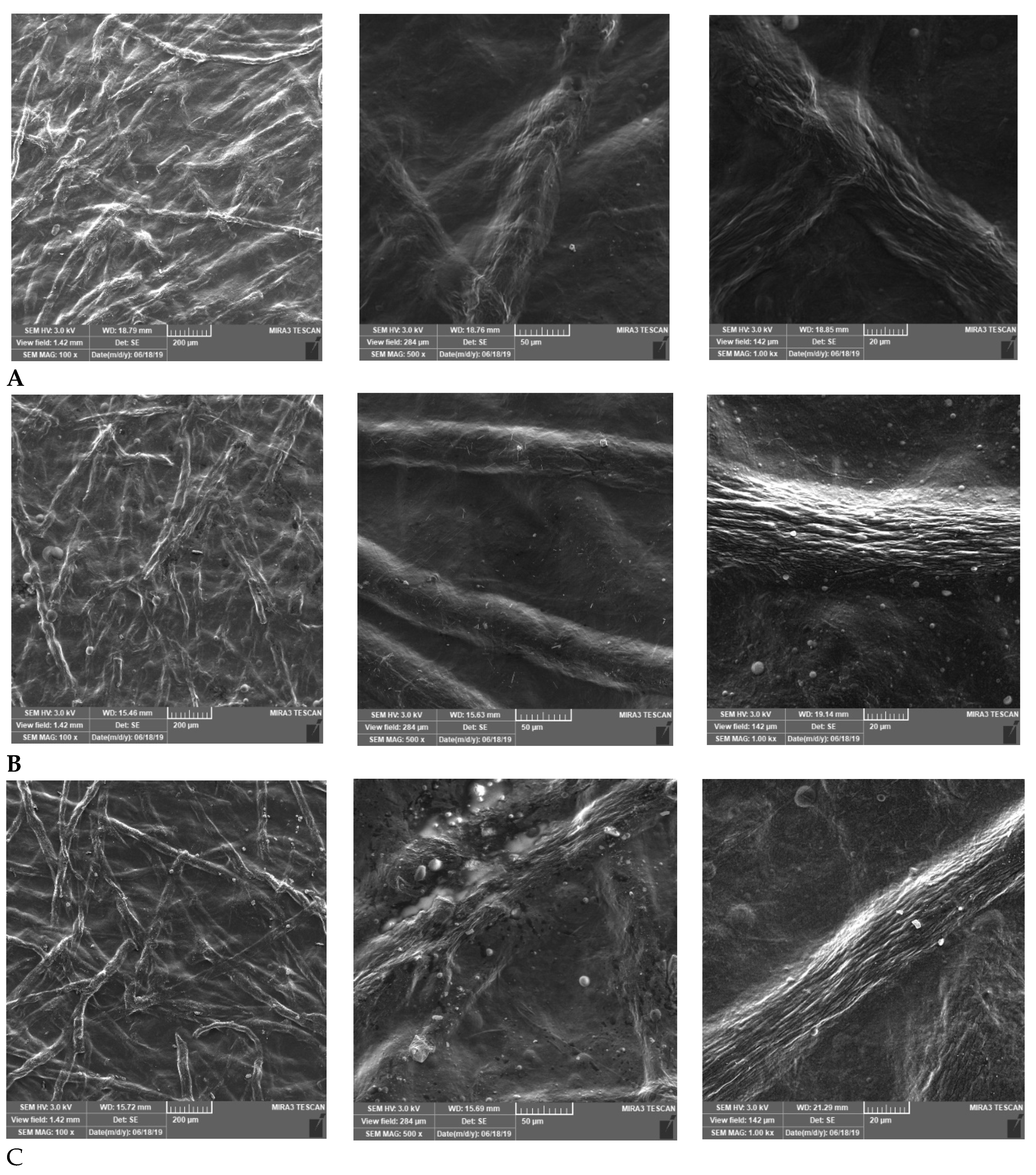 Pharmaceutics 14 00782 g002
