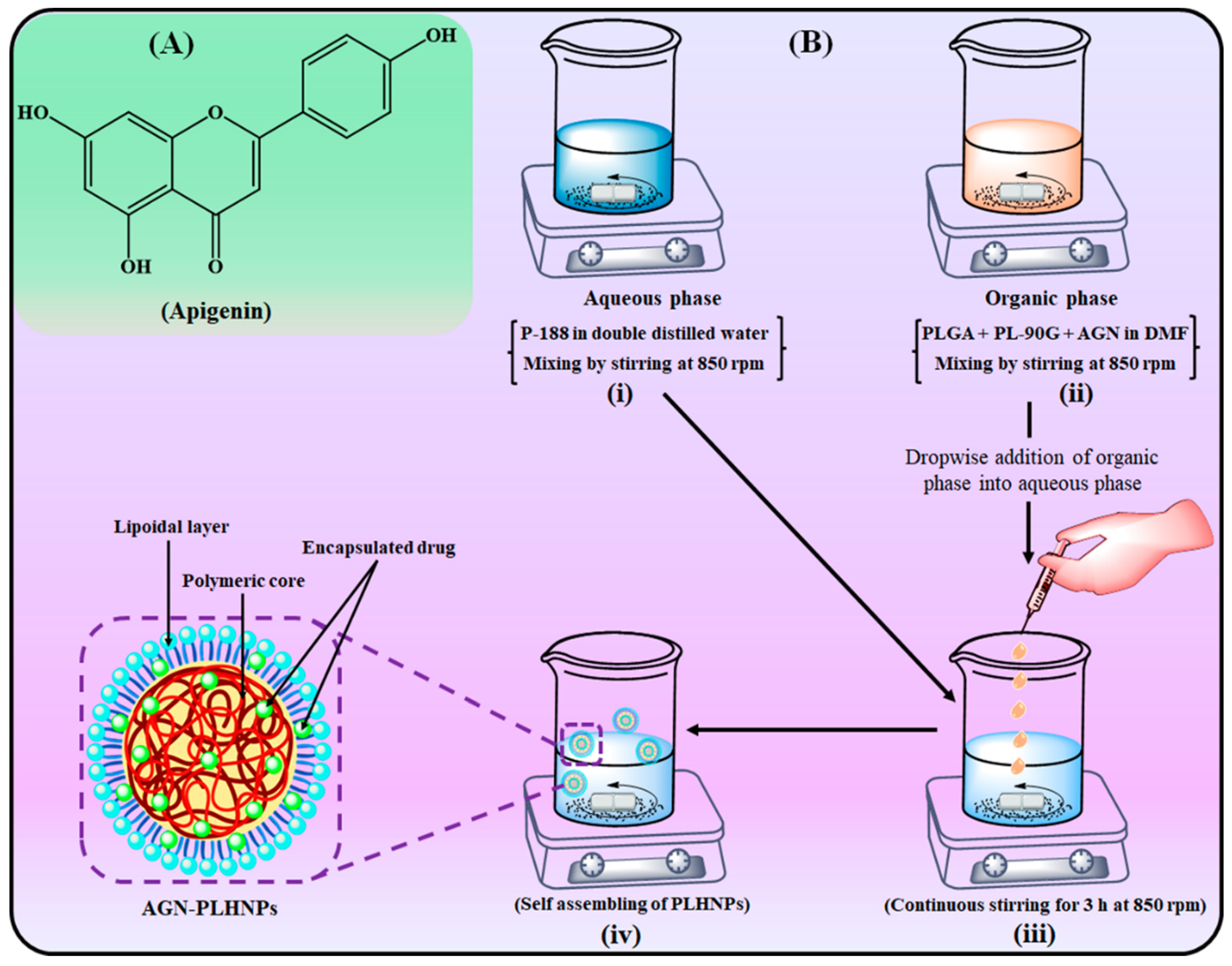 Pharmaceutics 14 00783 g001 550