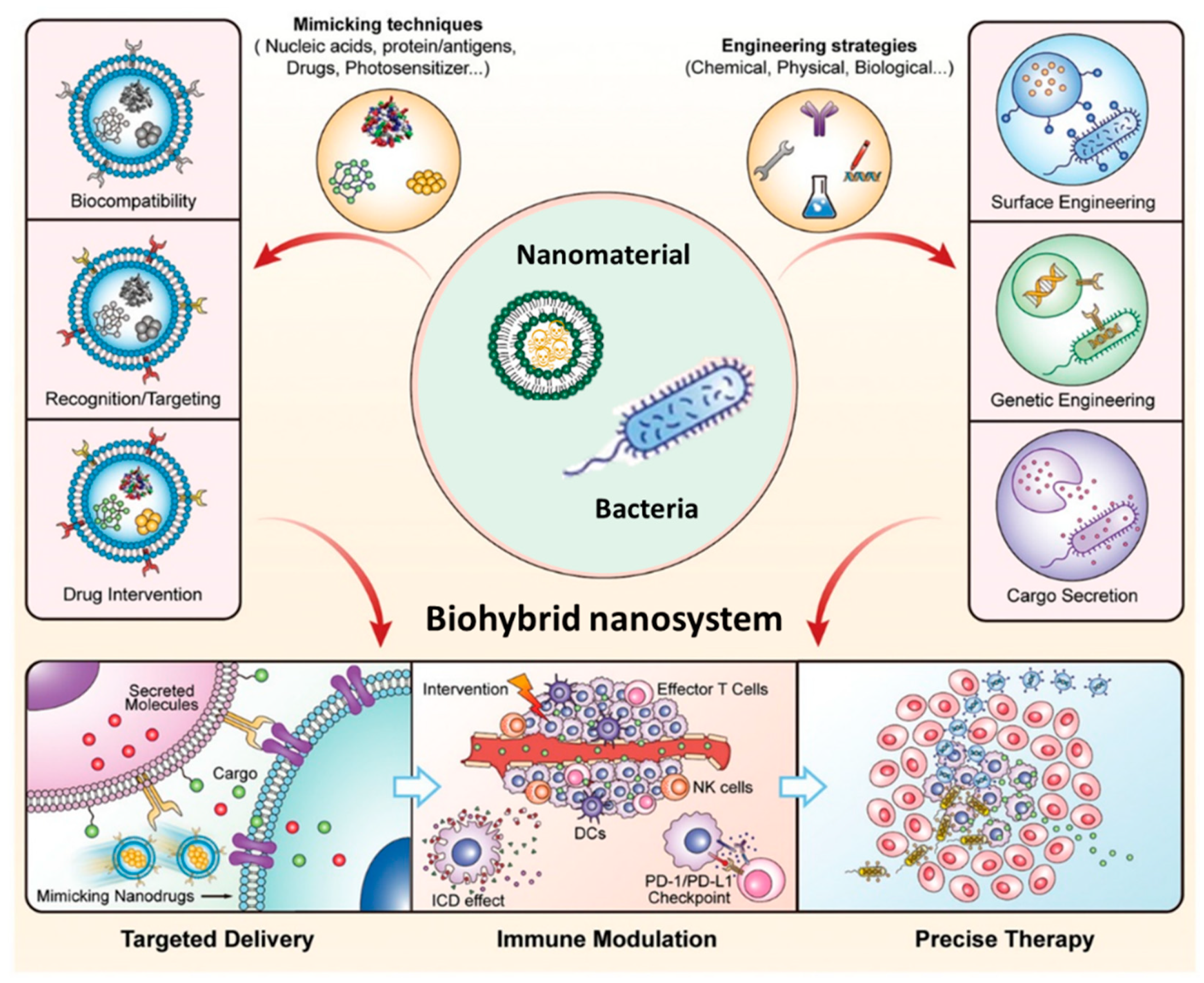 Pharmaceutics 14 00784 g003 Pharmaceutics 14 00784 g003
