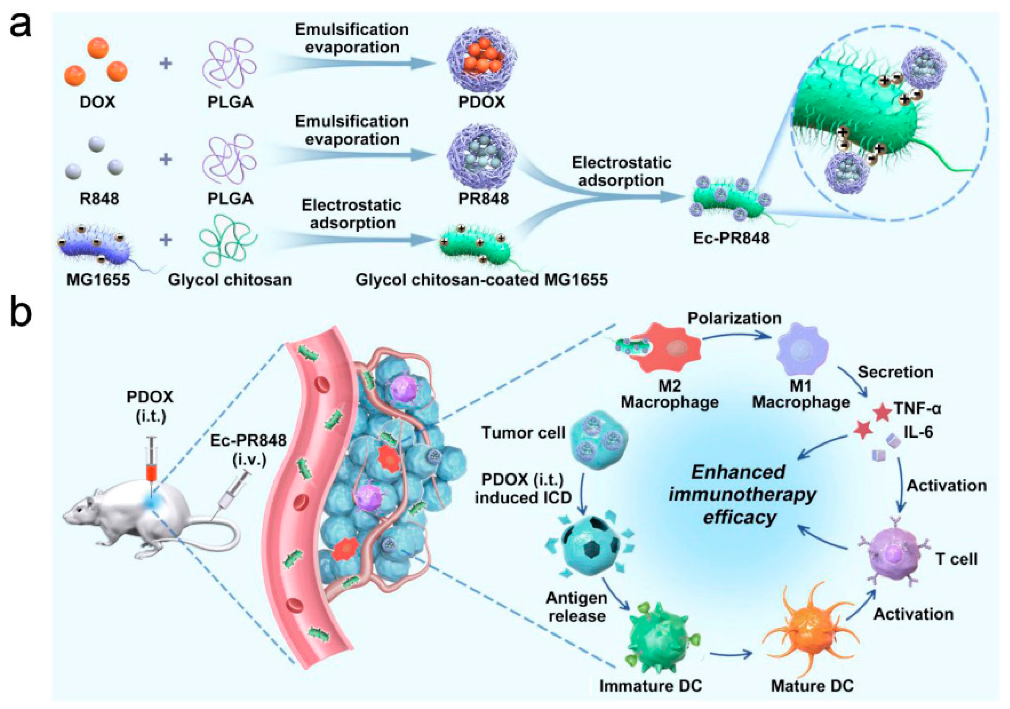 Pharmaceutics 14 00784 g004 Pharmaceutics 14 00784 g004