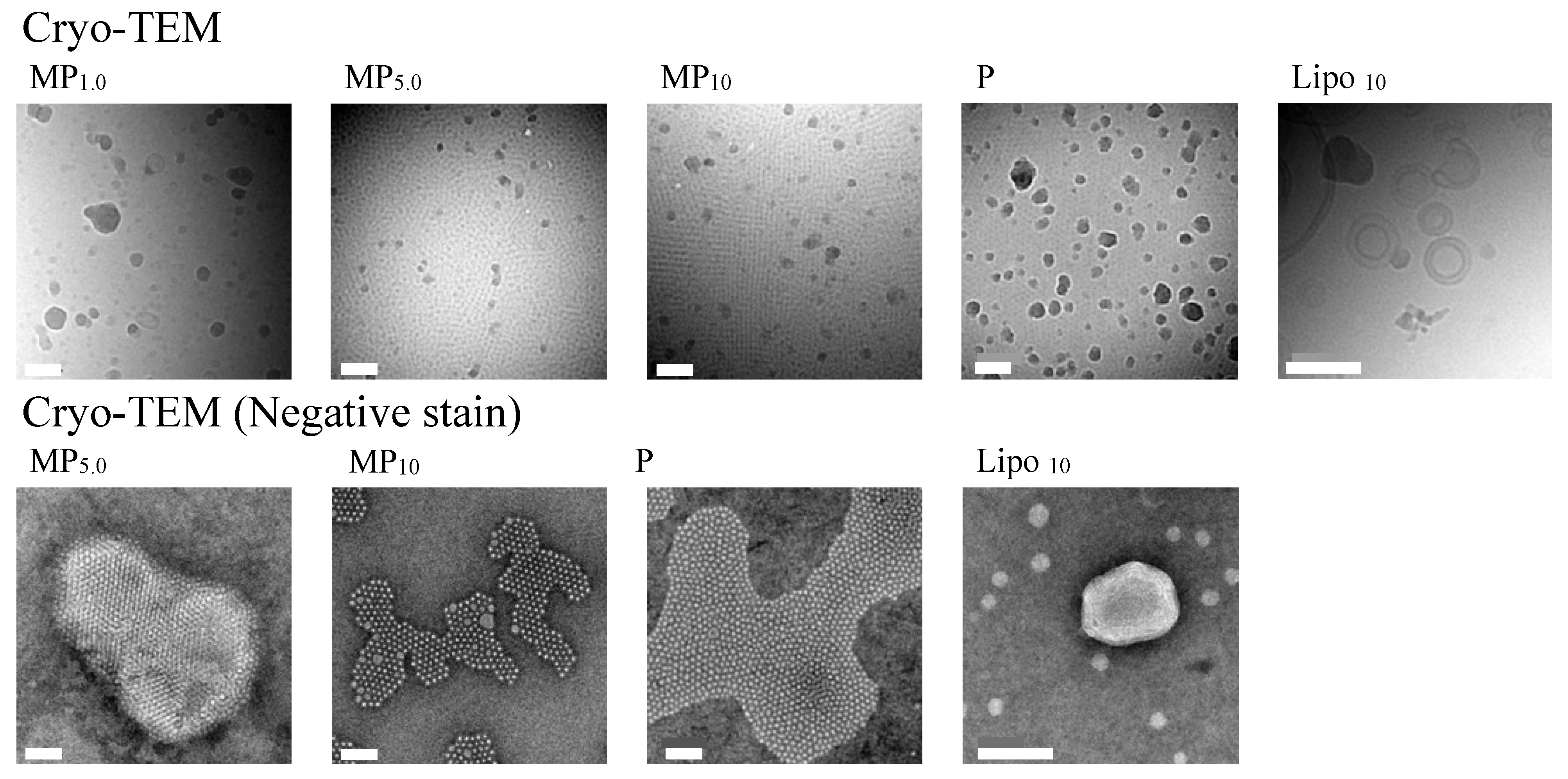 Pharmaceutics 14 00785 g004 550