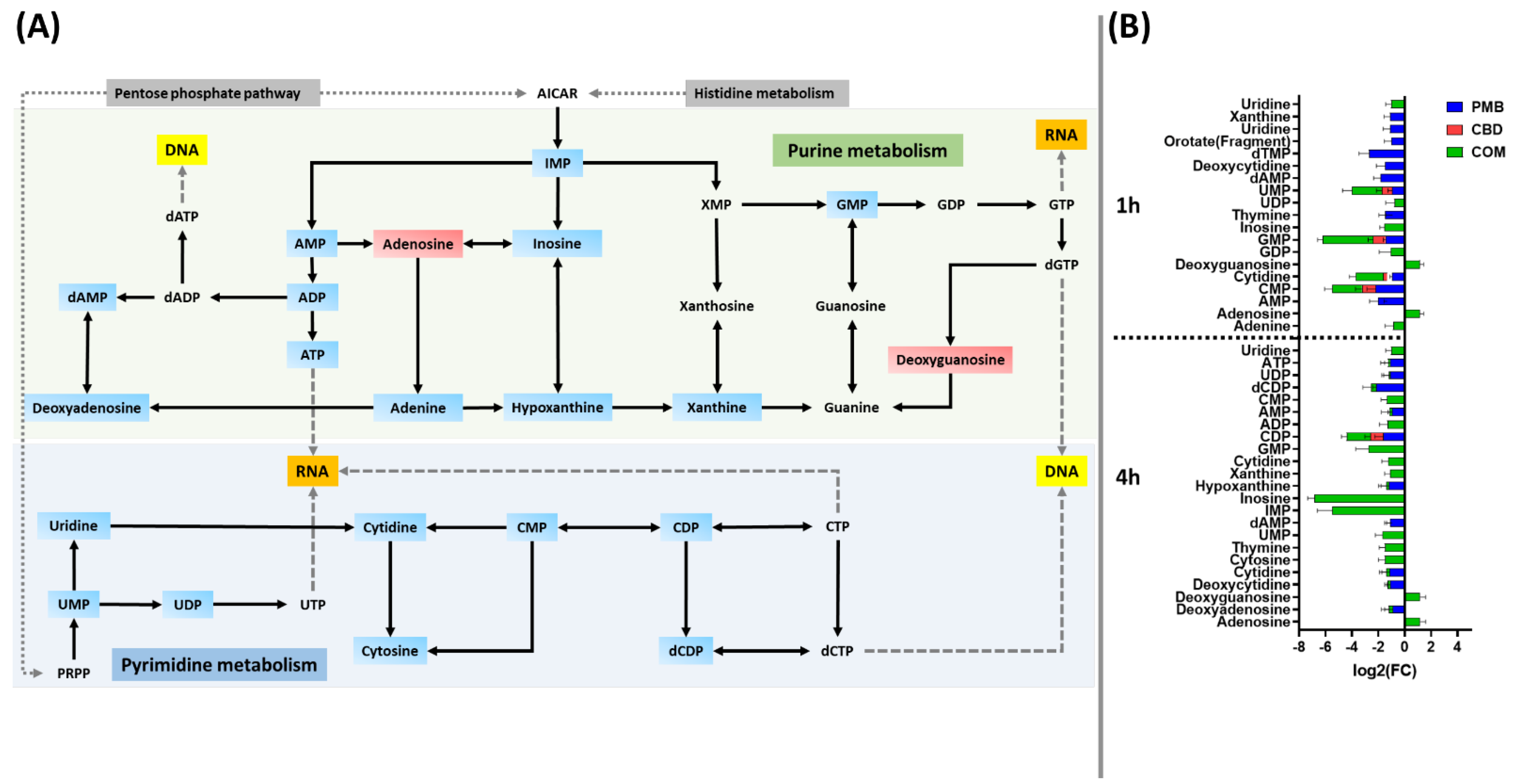 Pharmaceutics 14 00786 g004 550