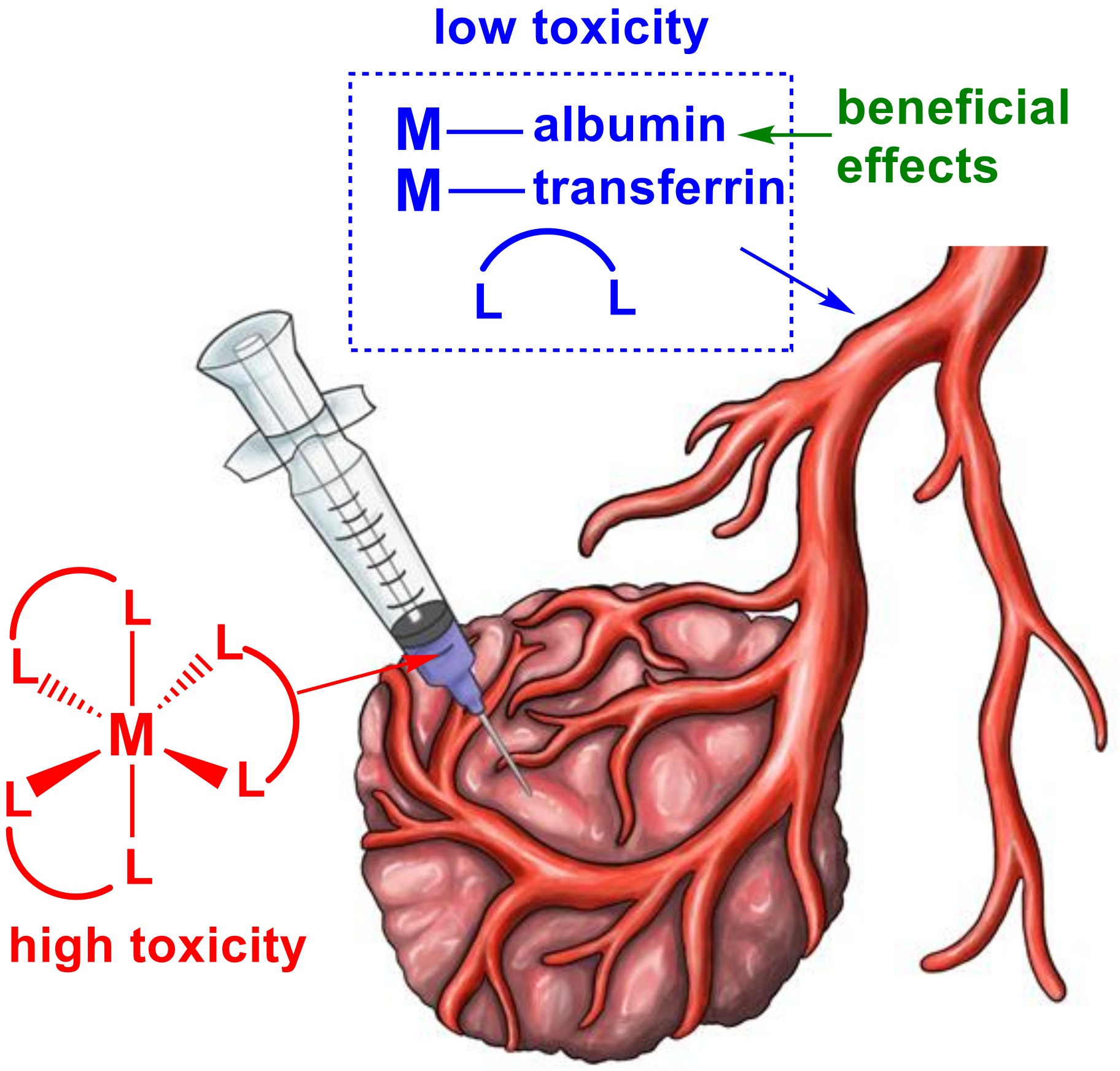 Pharmaceutics 14 00790 g001 550