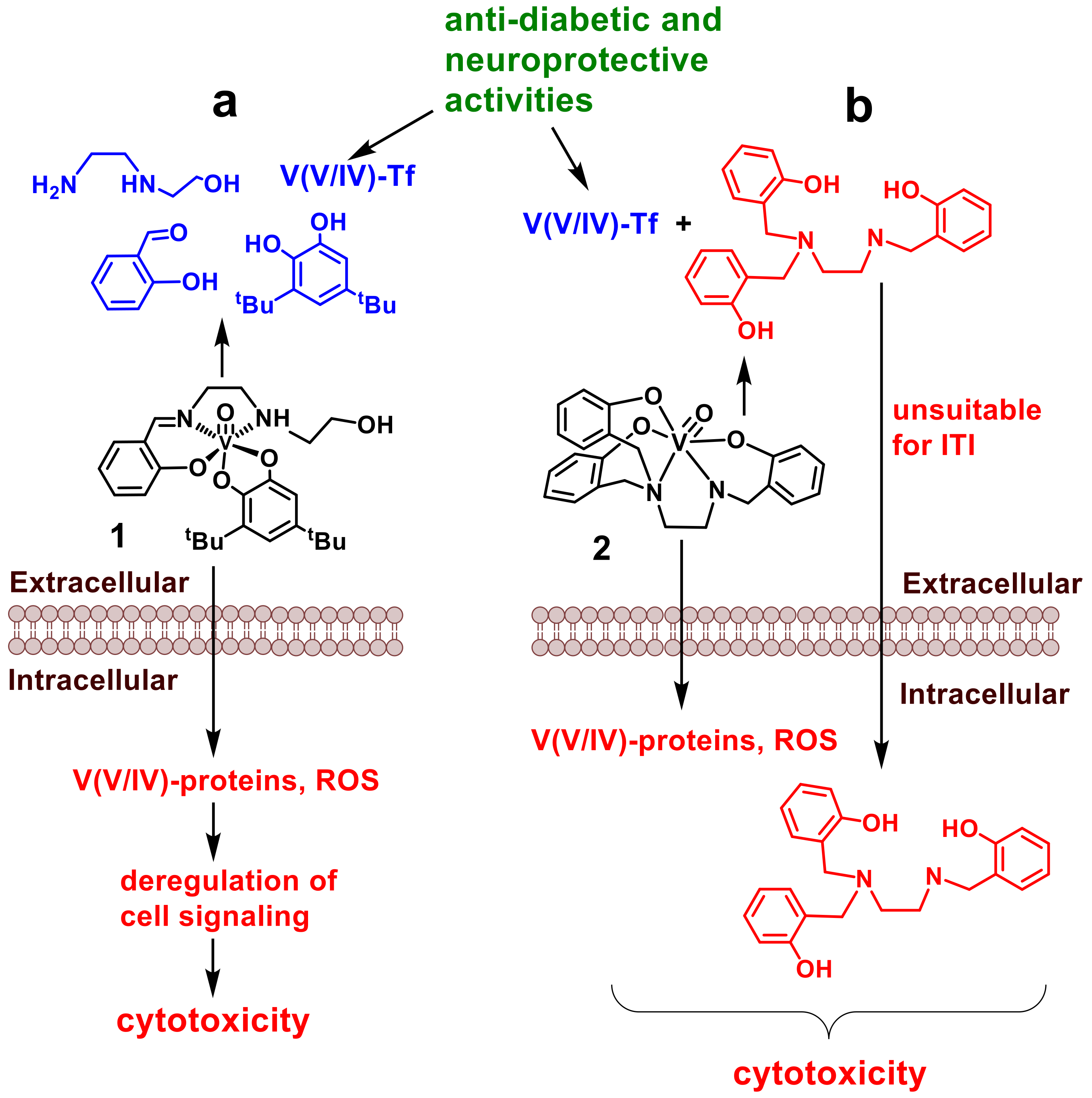 Pharmaceutics 14 00790 g002 550