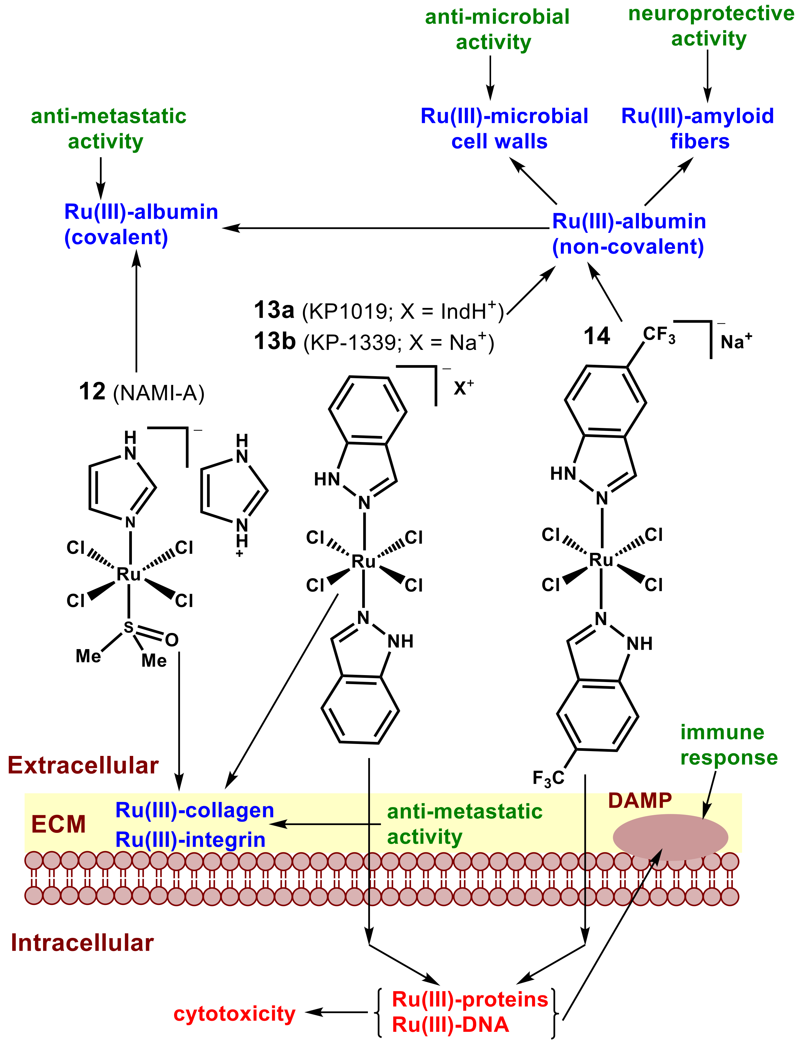 Pharmaceutics 14 00790 g006 550