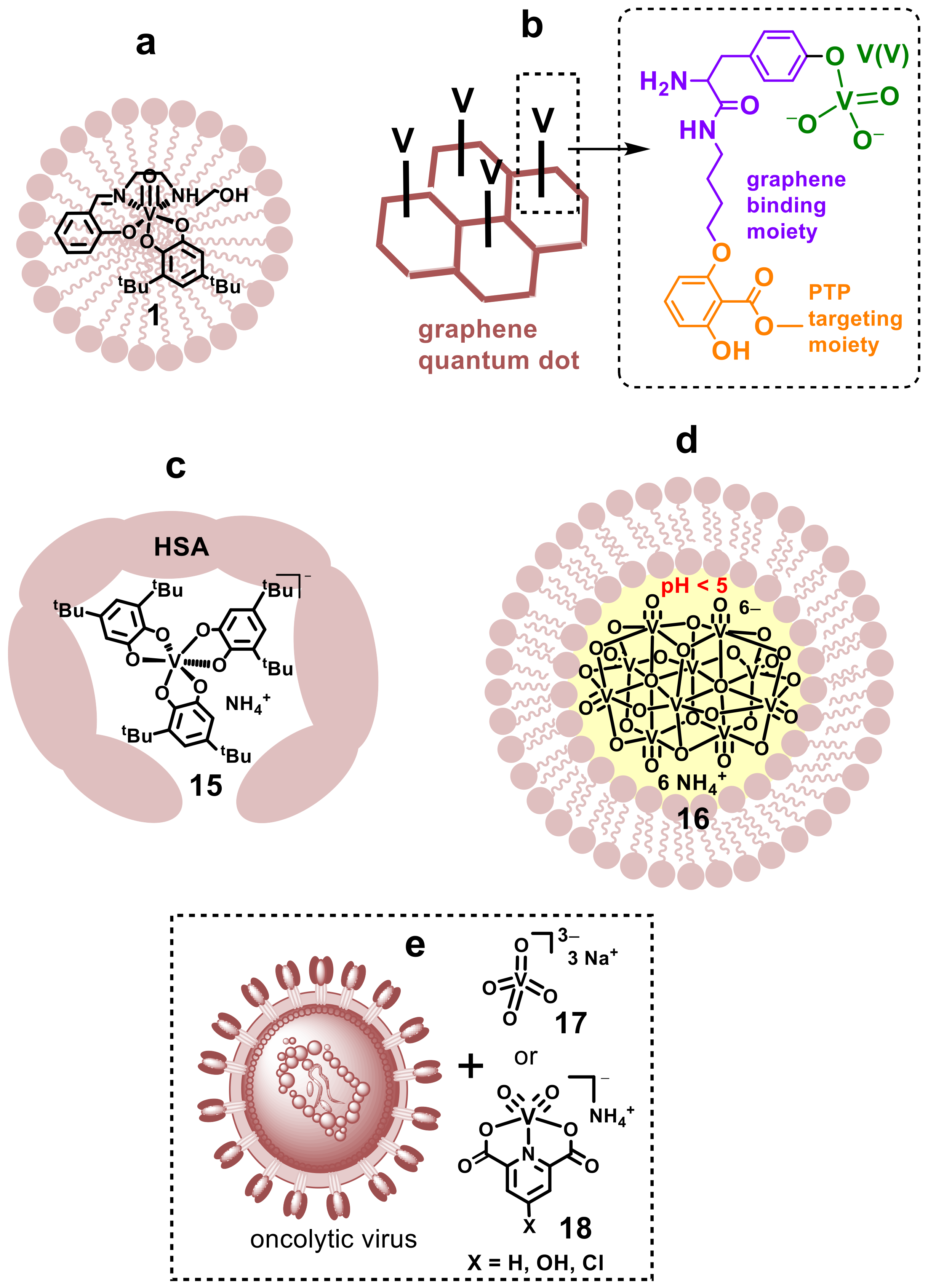 Pharmaceutics 14 00790 g007 550