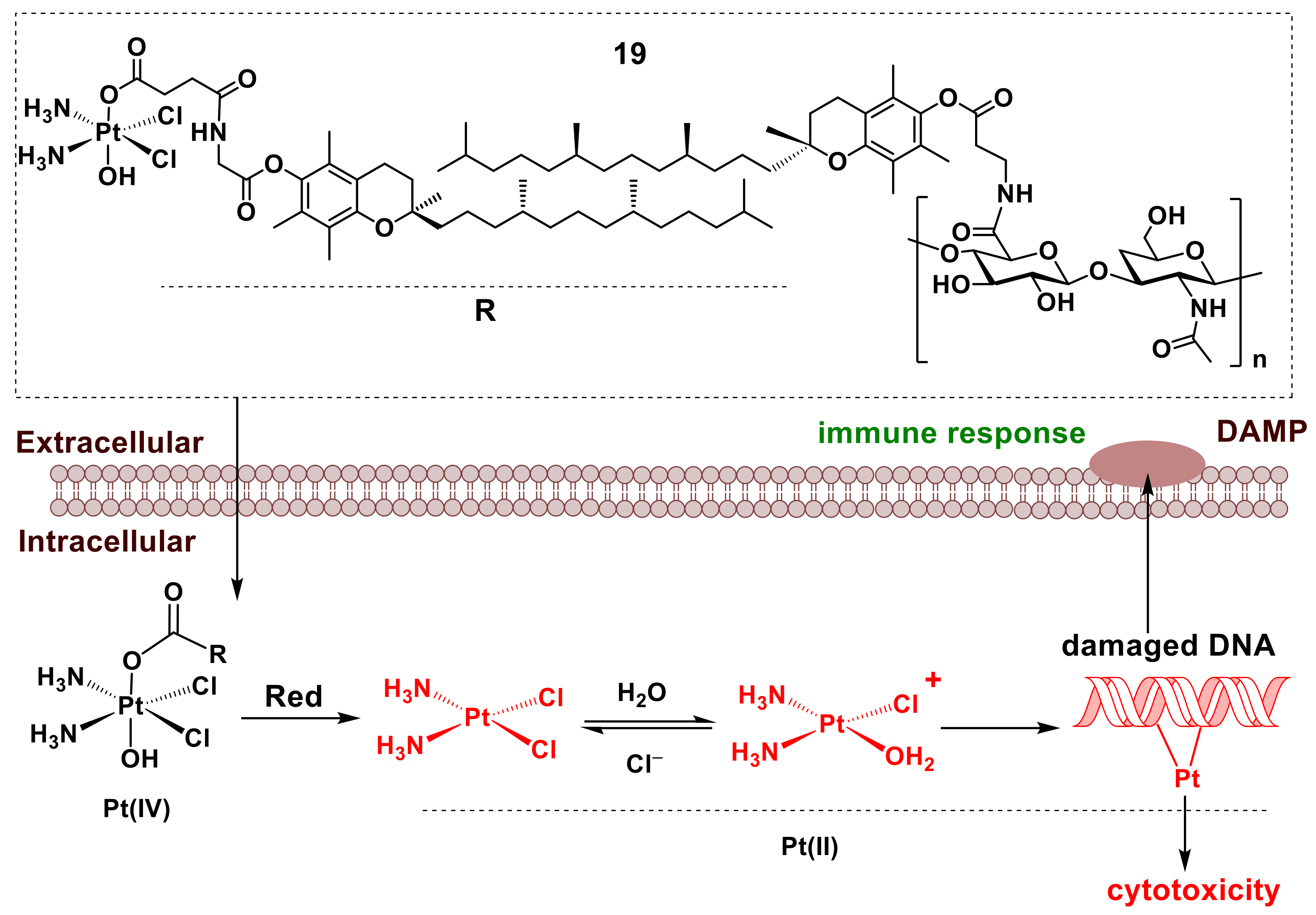 Pharmaceutics 14 00790 g008 550