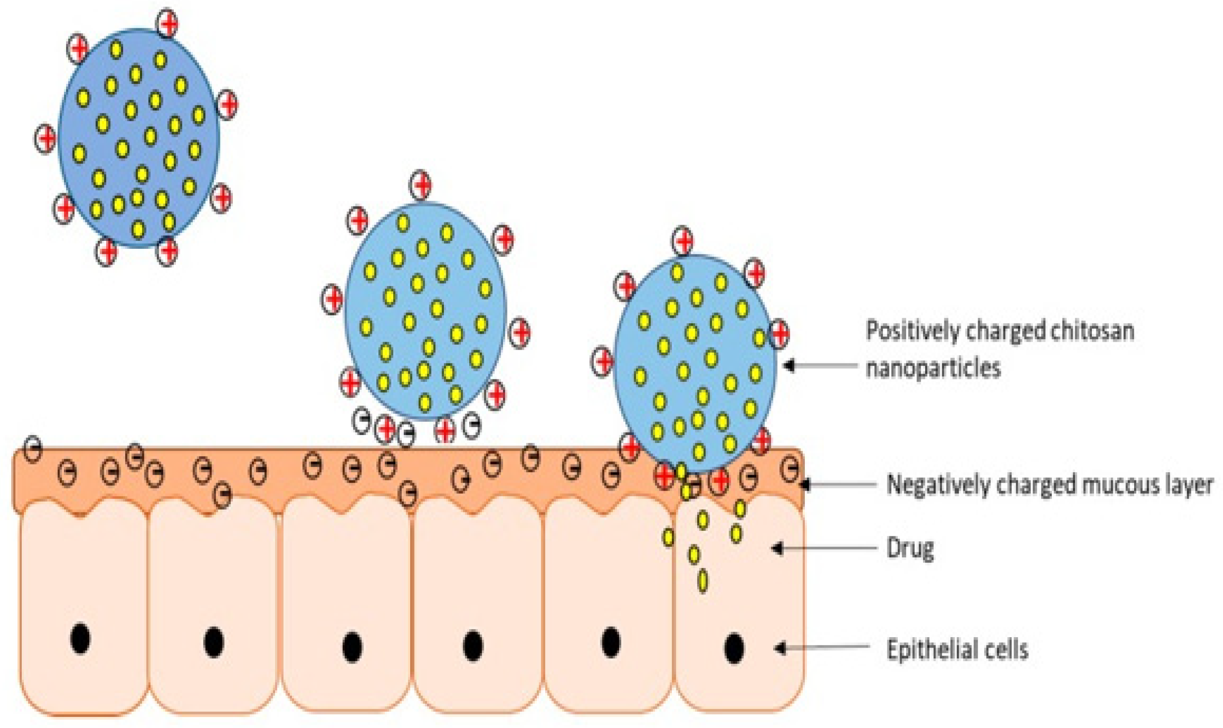 Pharmaceutics 14 00795 g004
