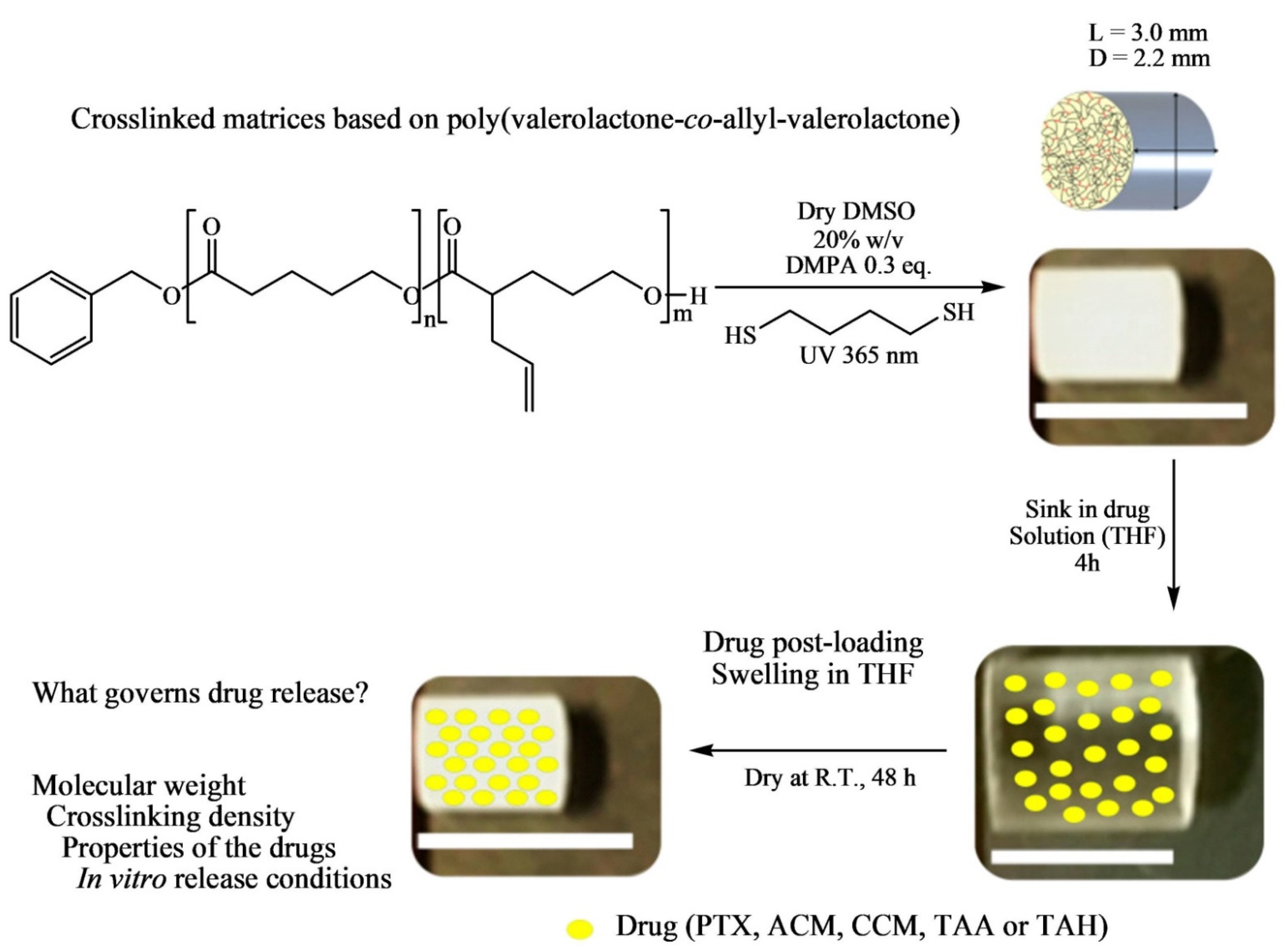 Pharmaceutics Free FullText Significance of Polymers with “Allyl” Functionality in