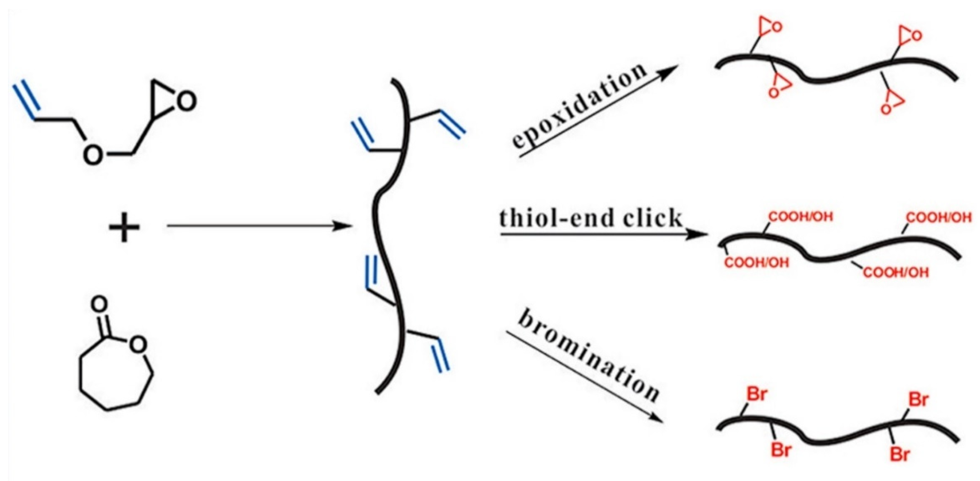 Pharmaceutics Free FullText Significance of Polymers with “Allyl” Functionality in