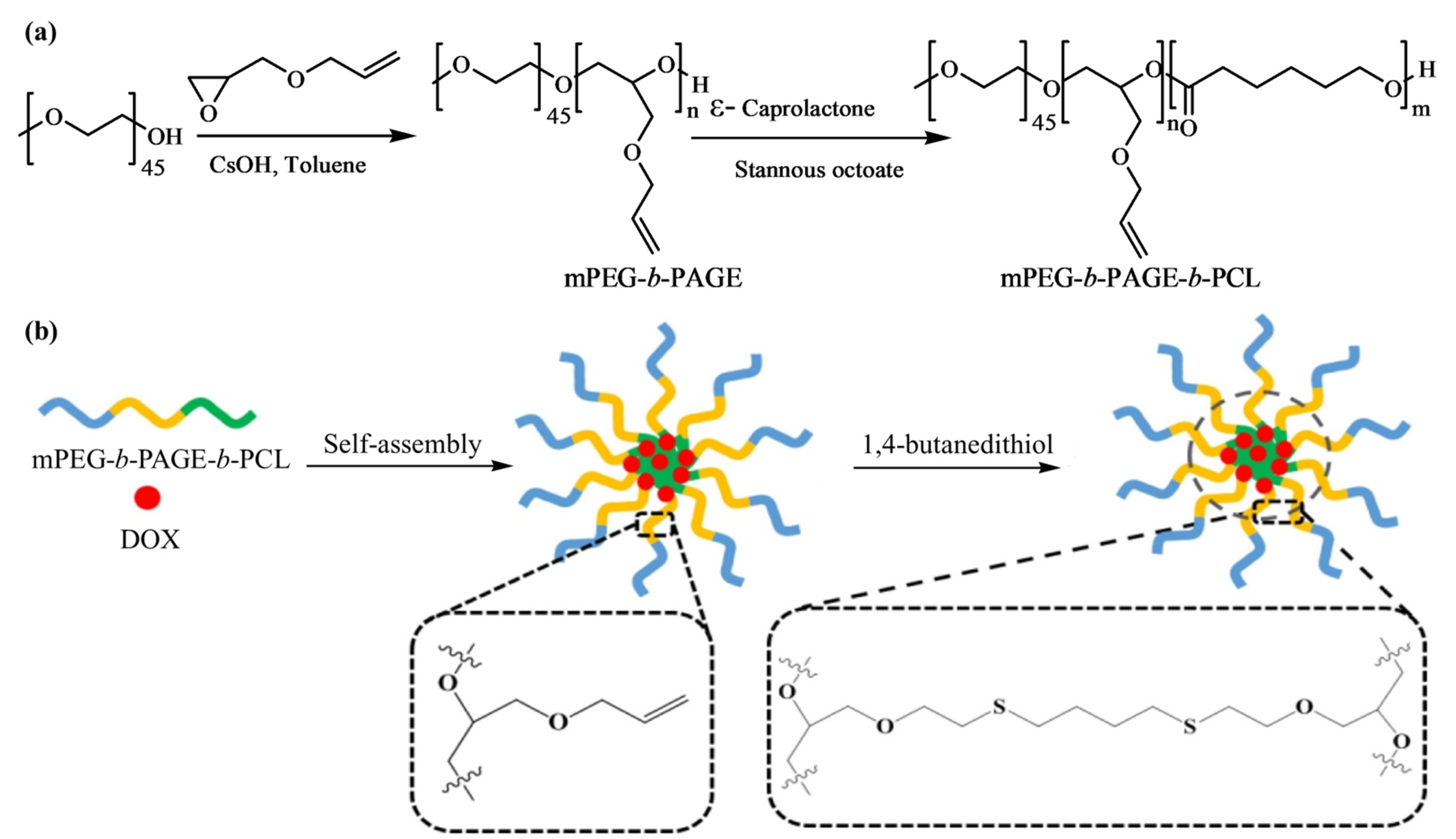 Pharmaceutics 14 00798 g012 550