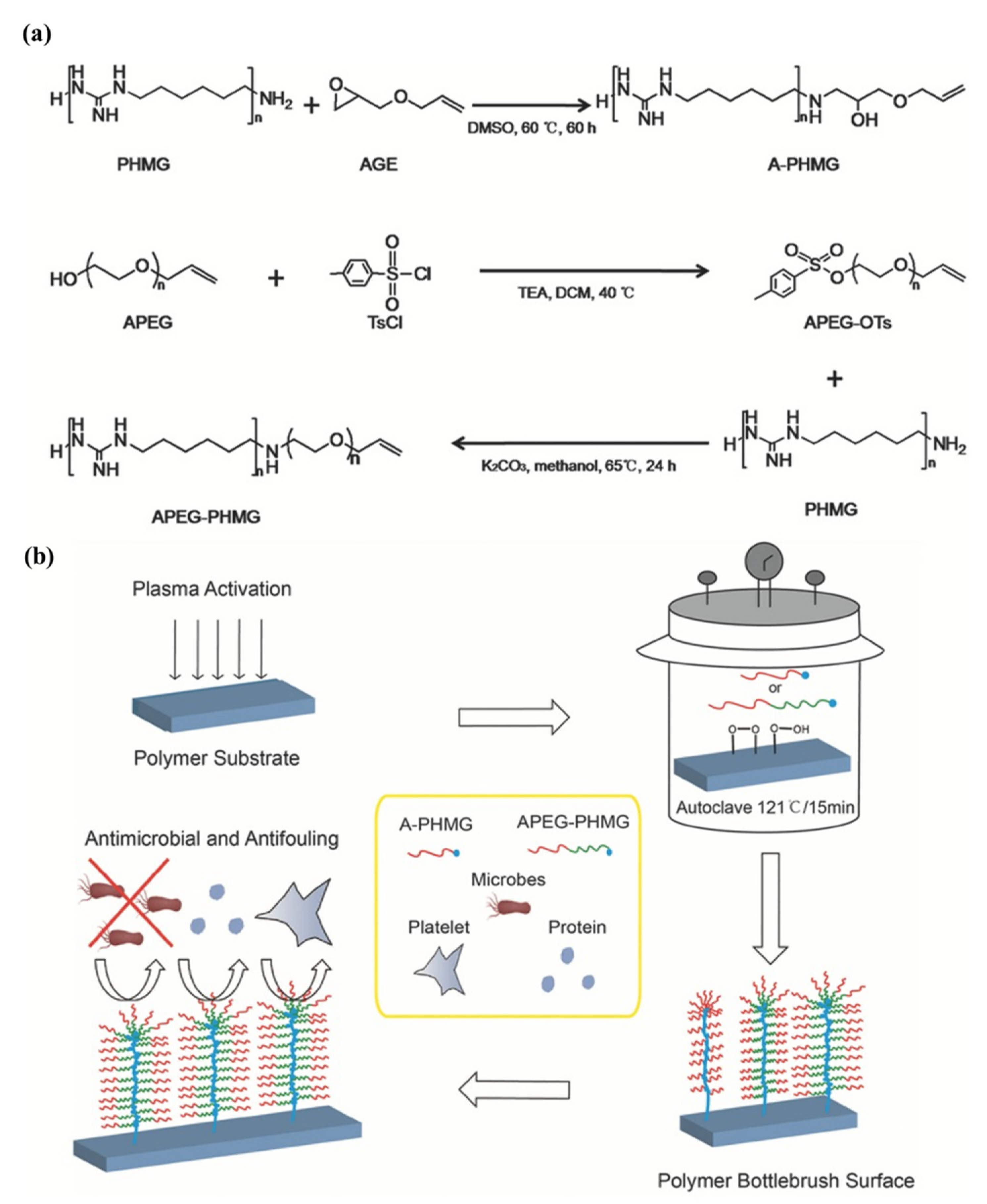 Pharmaceutics 14 00798 g014 550