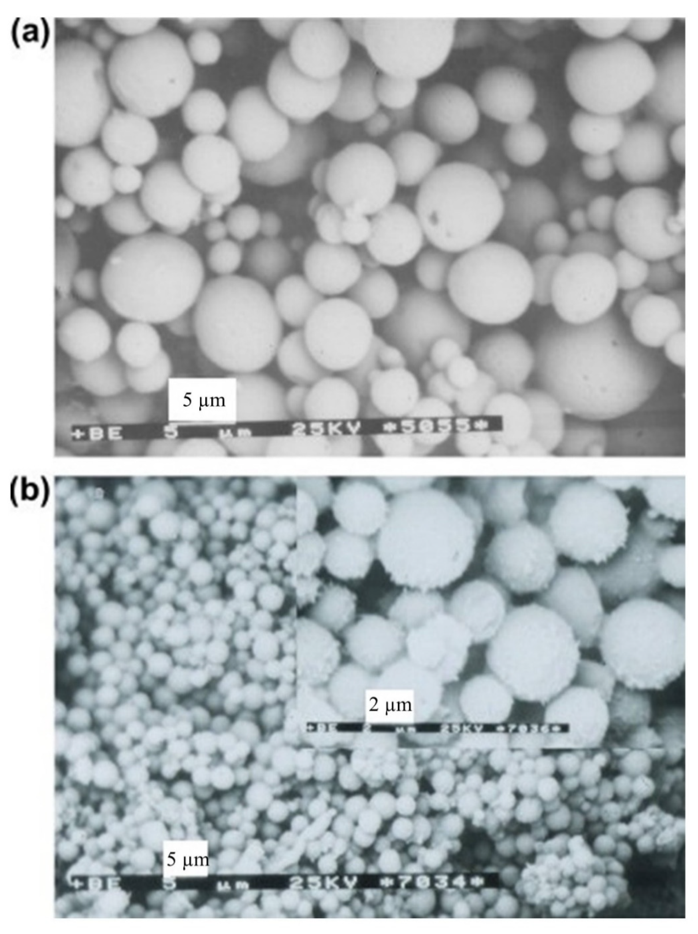 Pharmaceutics 14 00798 g017 550