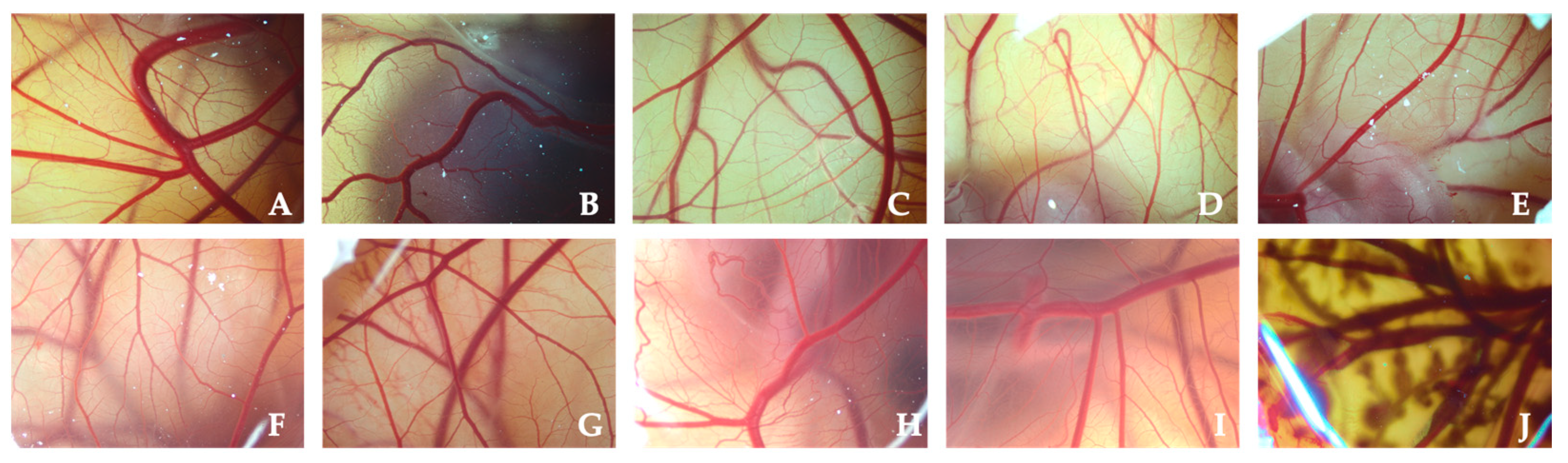 Pharmaceutics 14 00799 g014