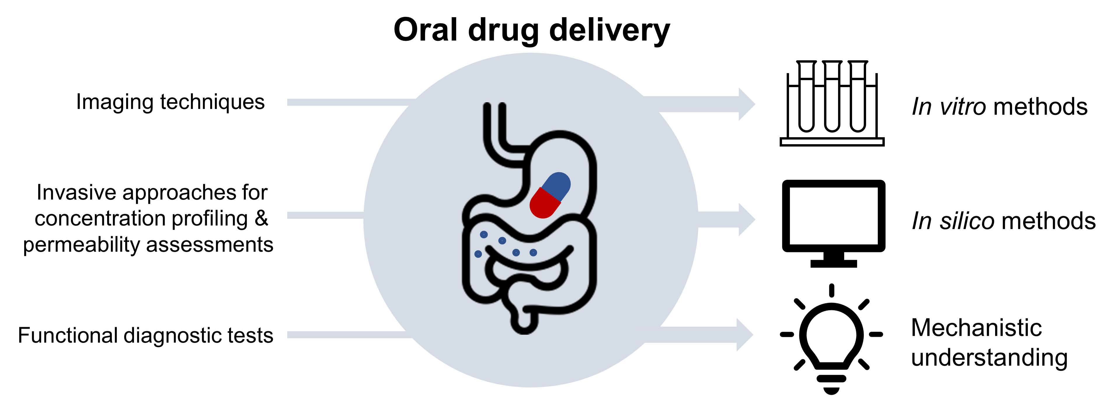 Pharmaceutics | Free Full-Text | Application of In Vivo Imaging ...