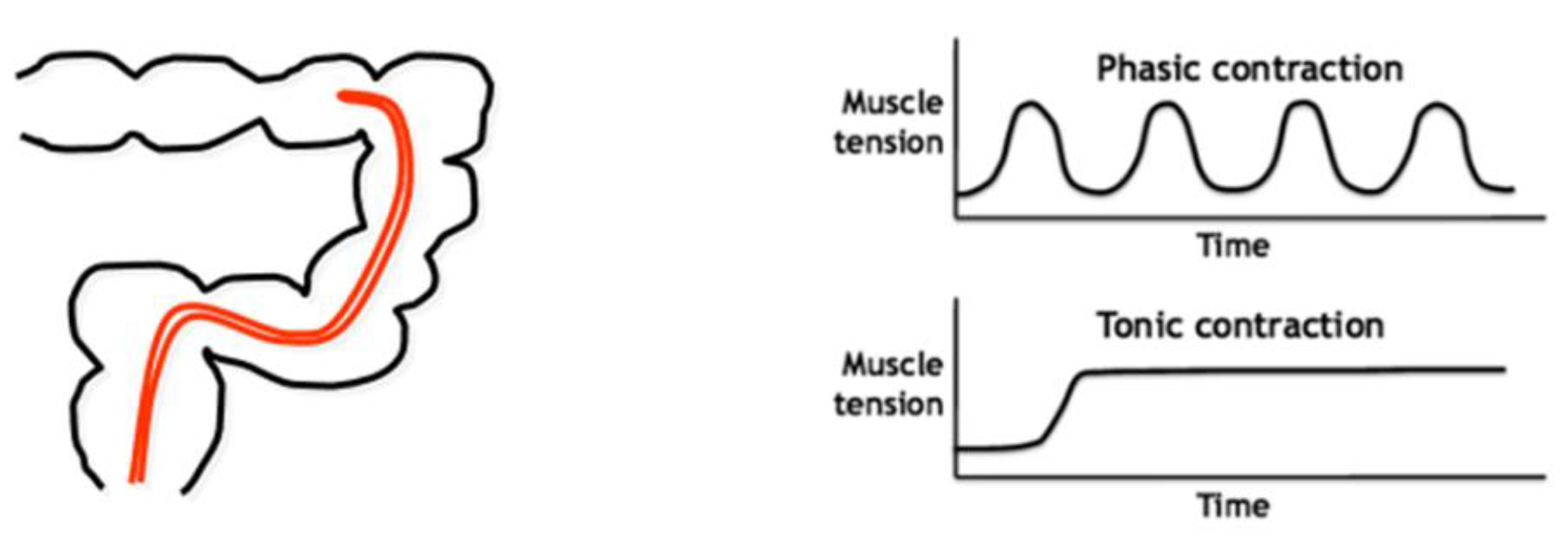 Pharmaceutics 14 00801 g010 550