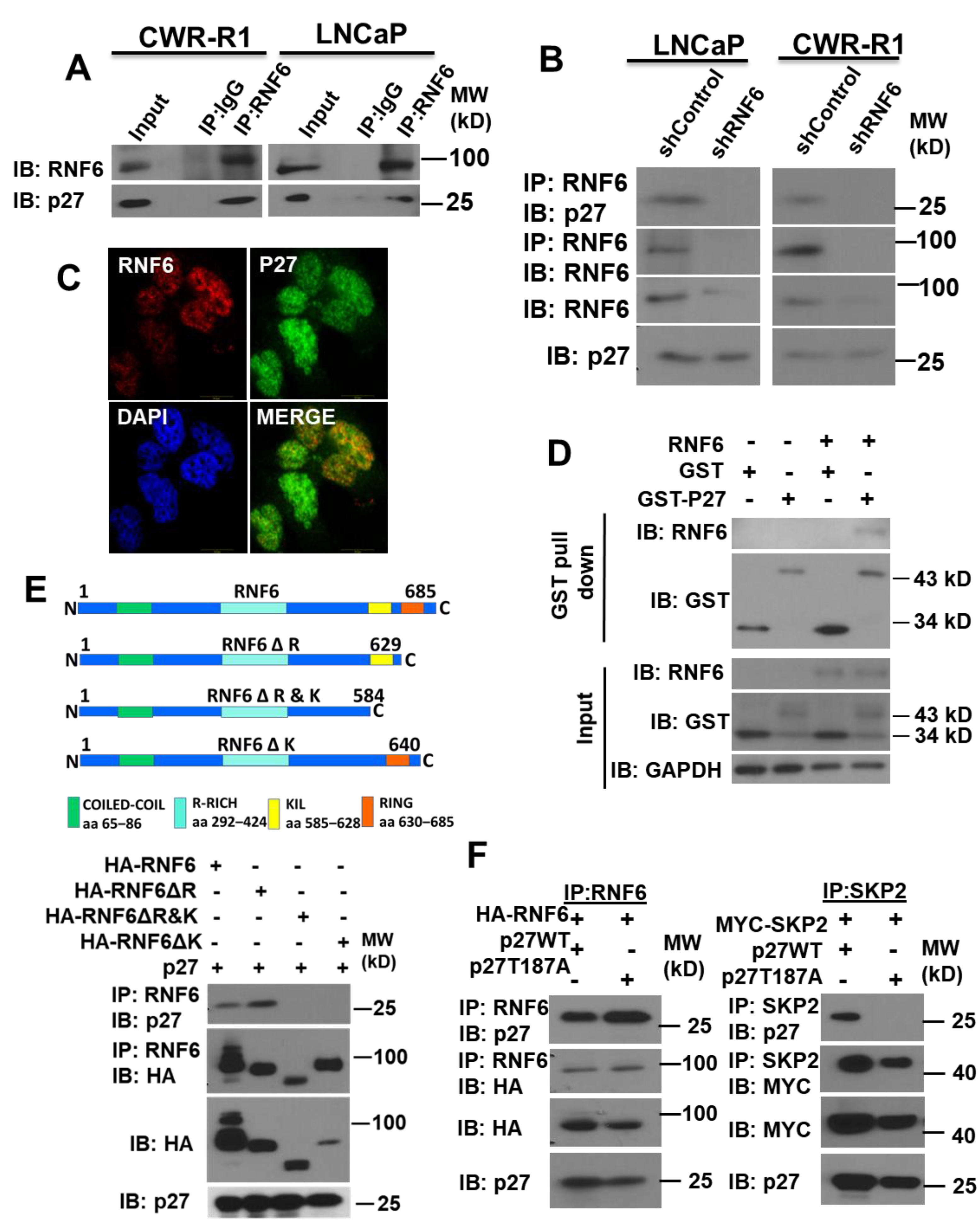 Pharmaceutics 14 00802 g002
