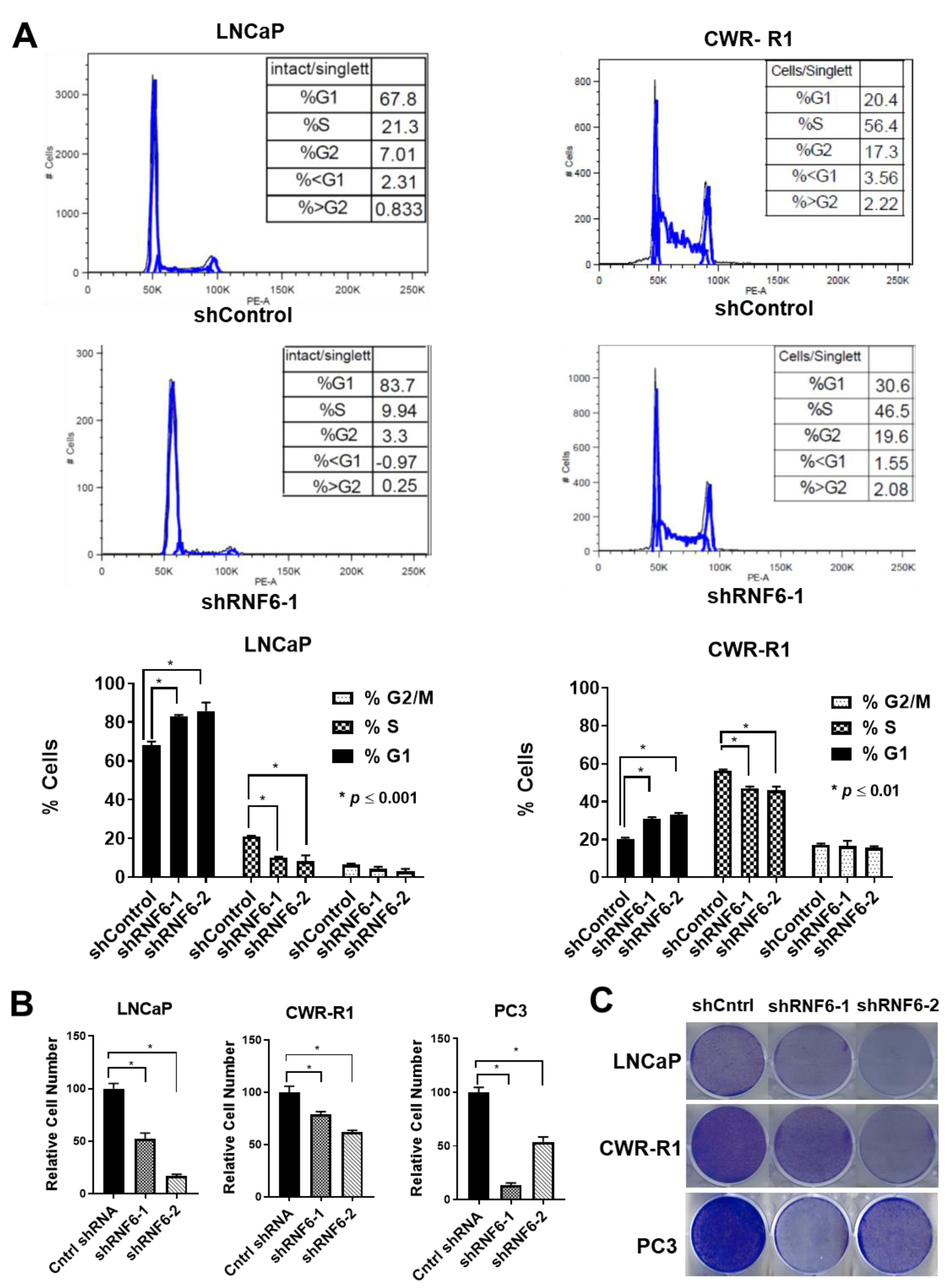 Pharmaceutics 14 00802 g006