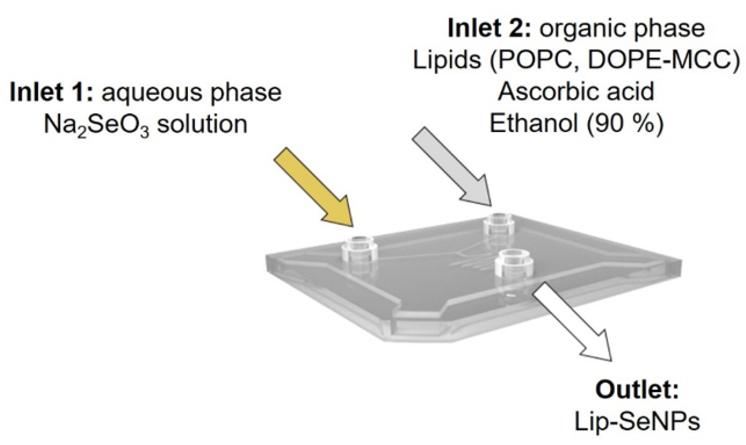 Pharmaceutics 14 00803 g001