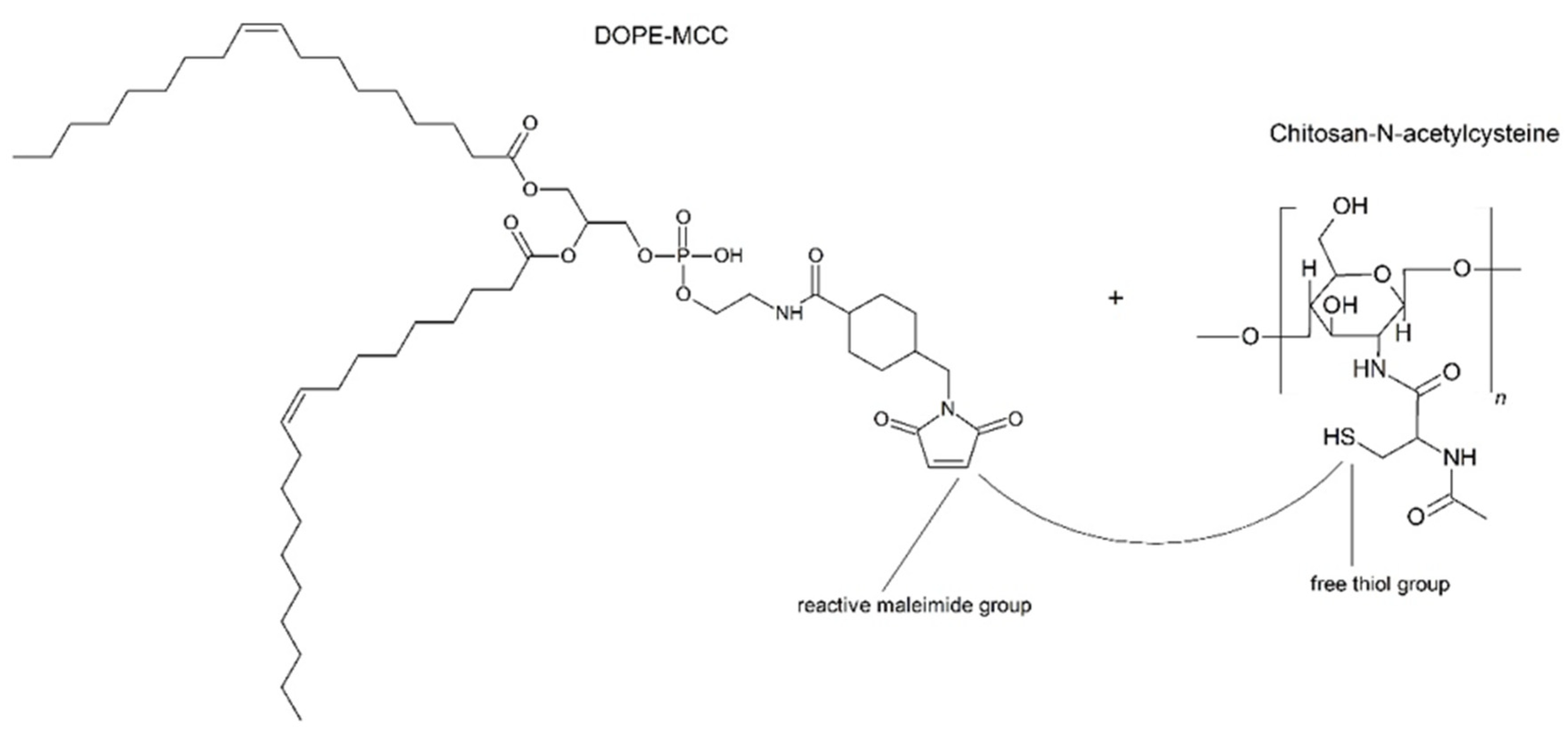 Pharmaceutics 14 00803 g002