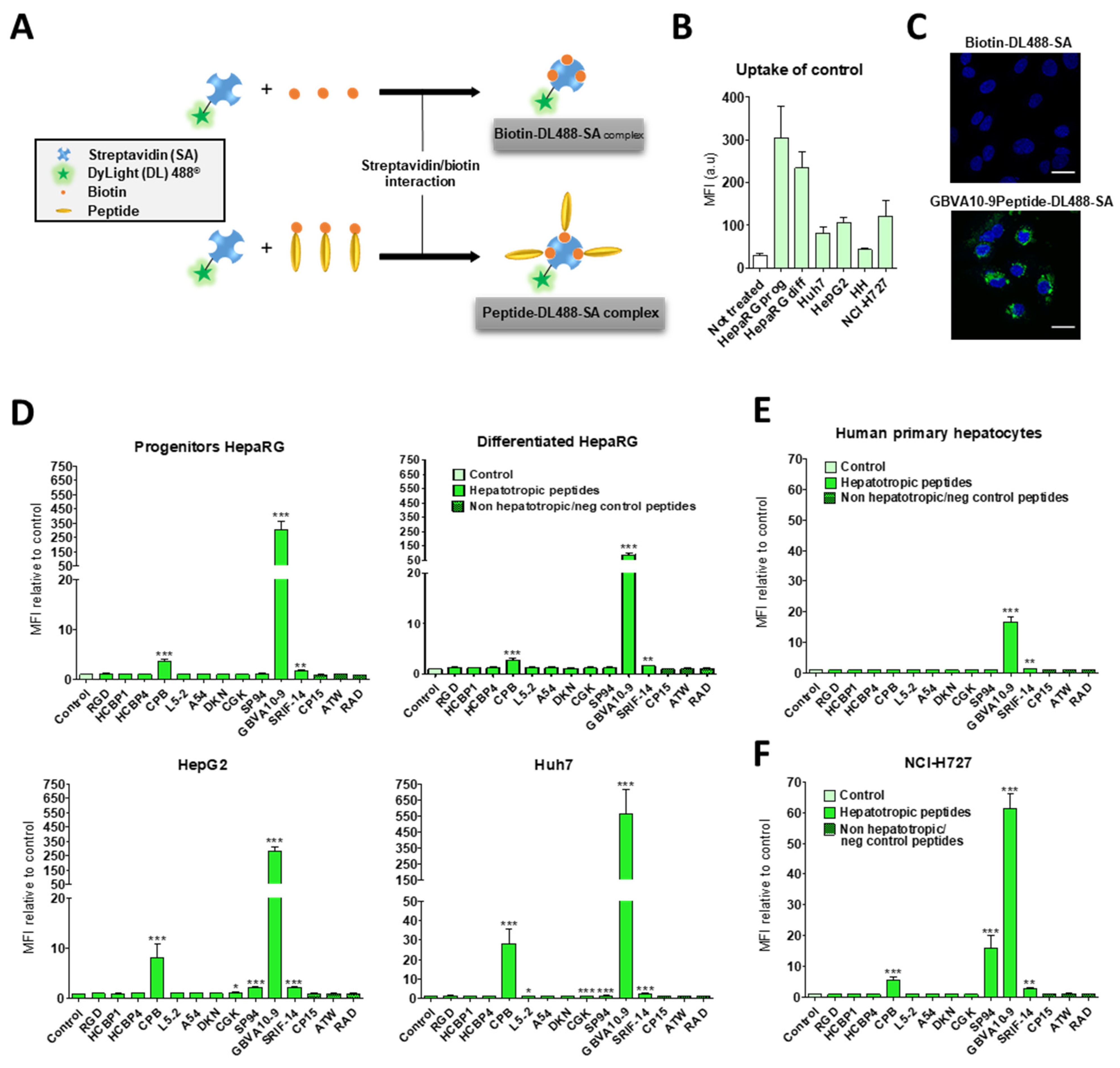 Pharmaceutics 14 00804 g001