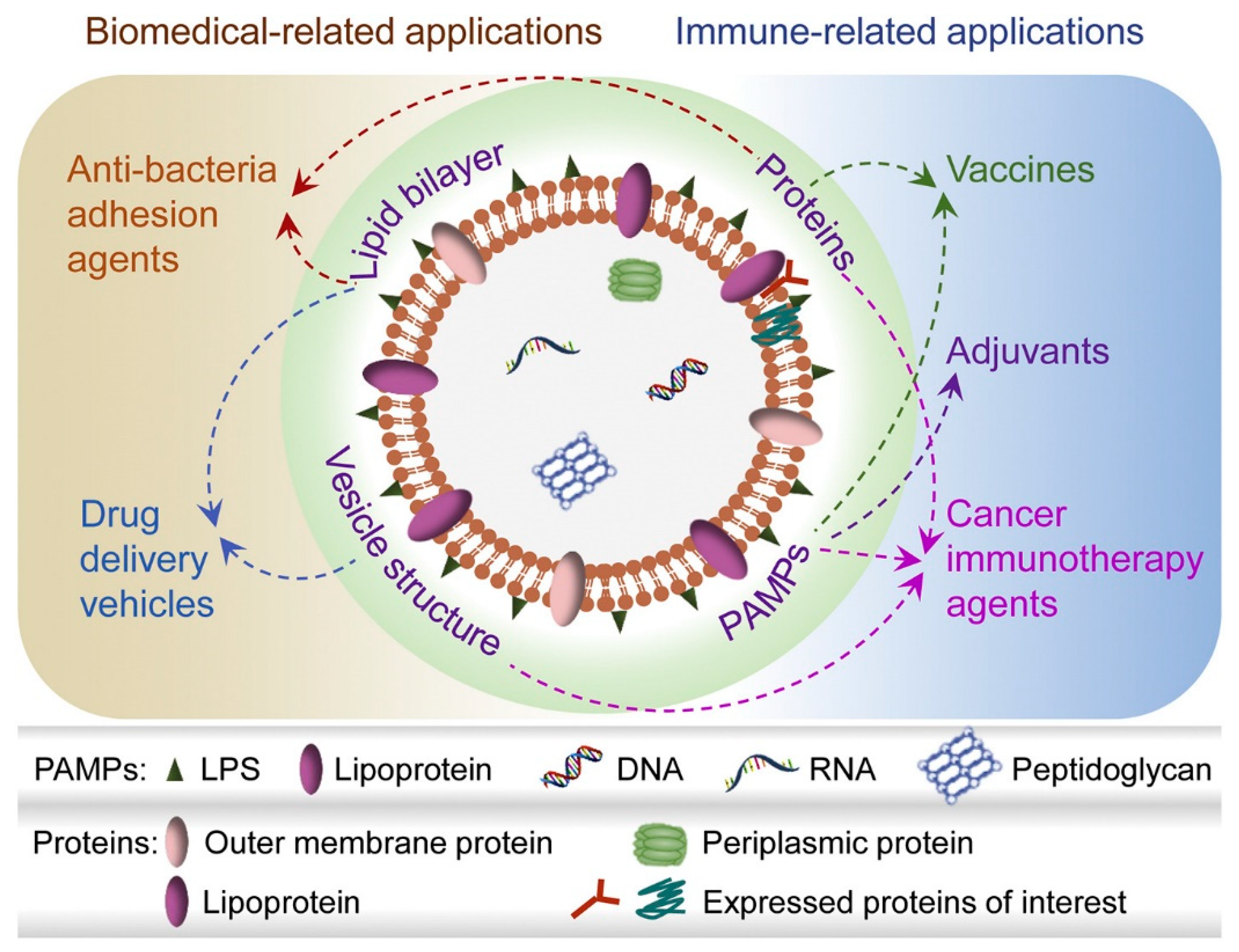 Pharmaceutics 14 00805 g002 Pharmaceutics 14 00805 g002