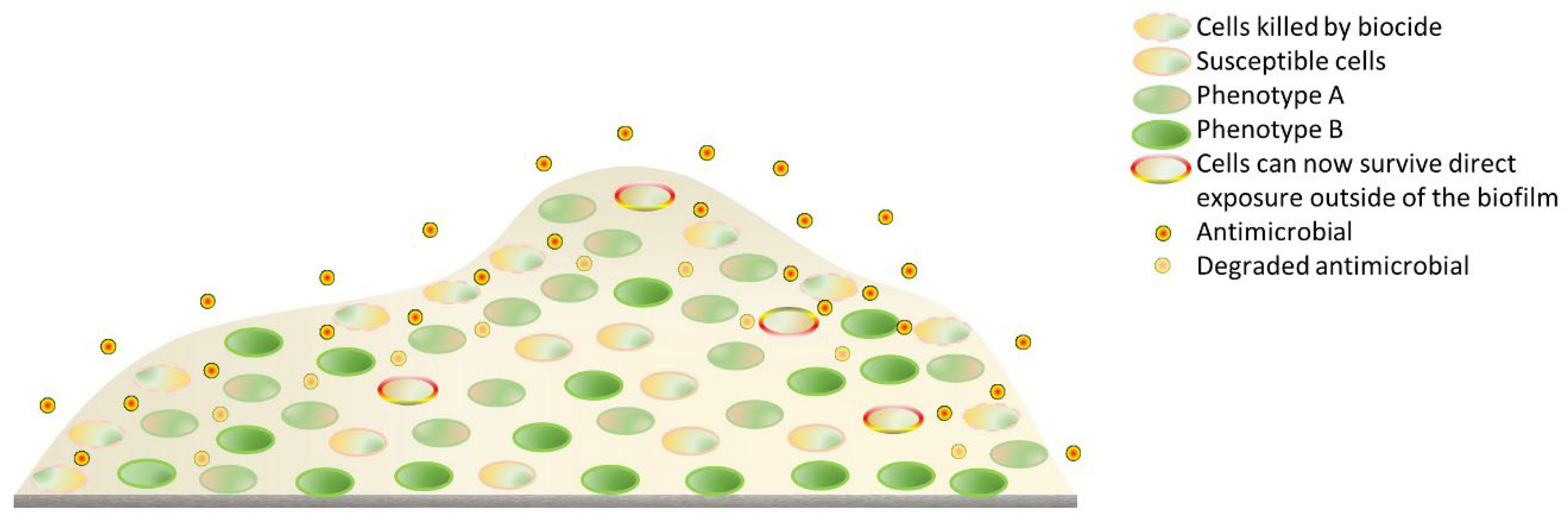 Pharmaceutics 14 00805 g006 Pharmaceutics 14 00805 g006