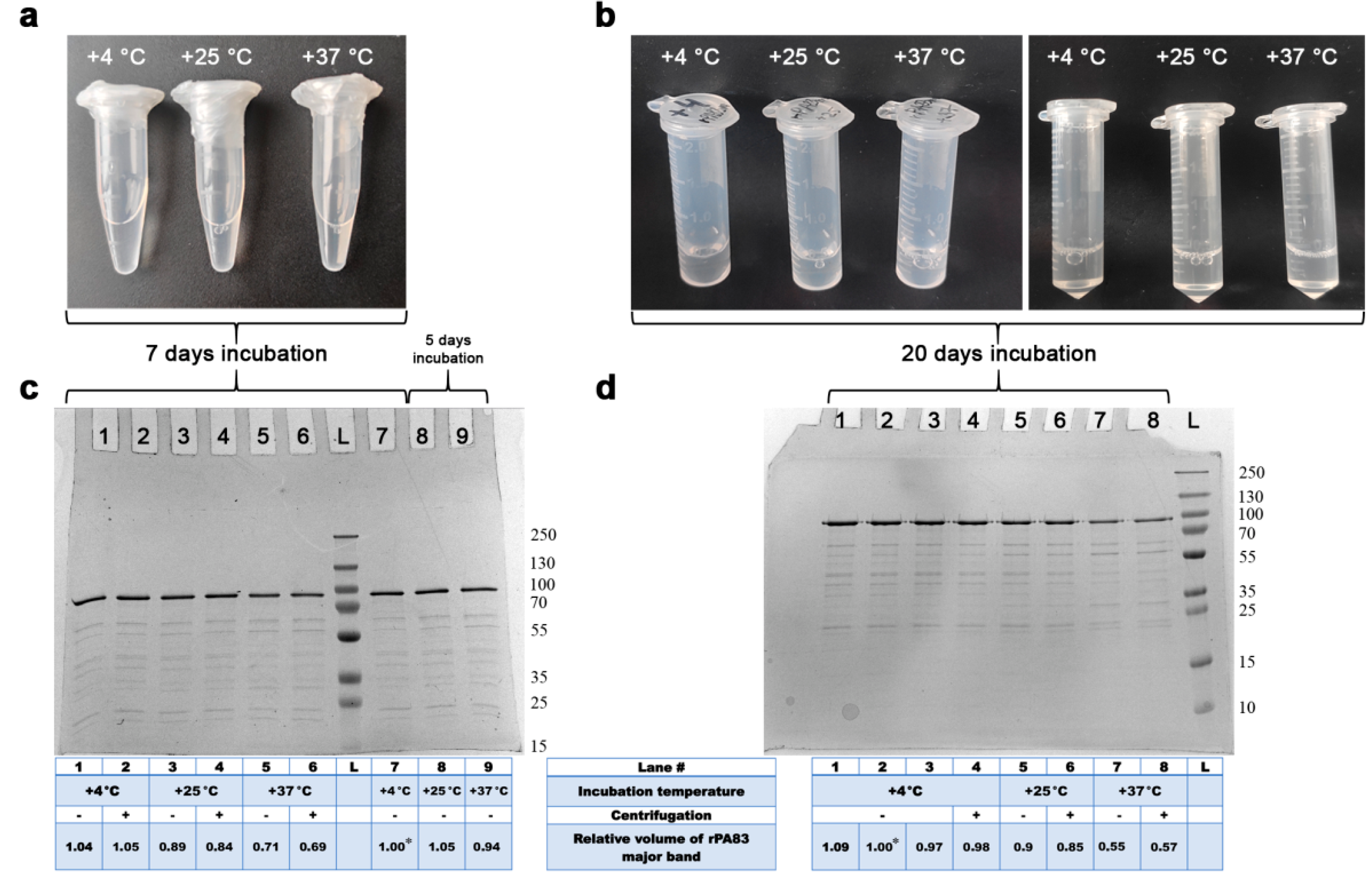 Pharmaceutics 14 00806 g0a3