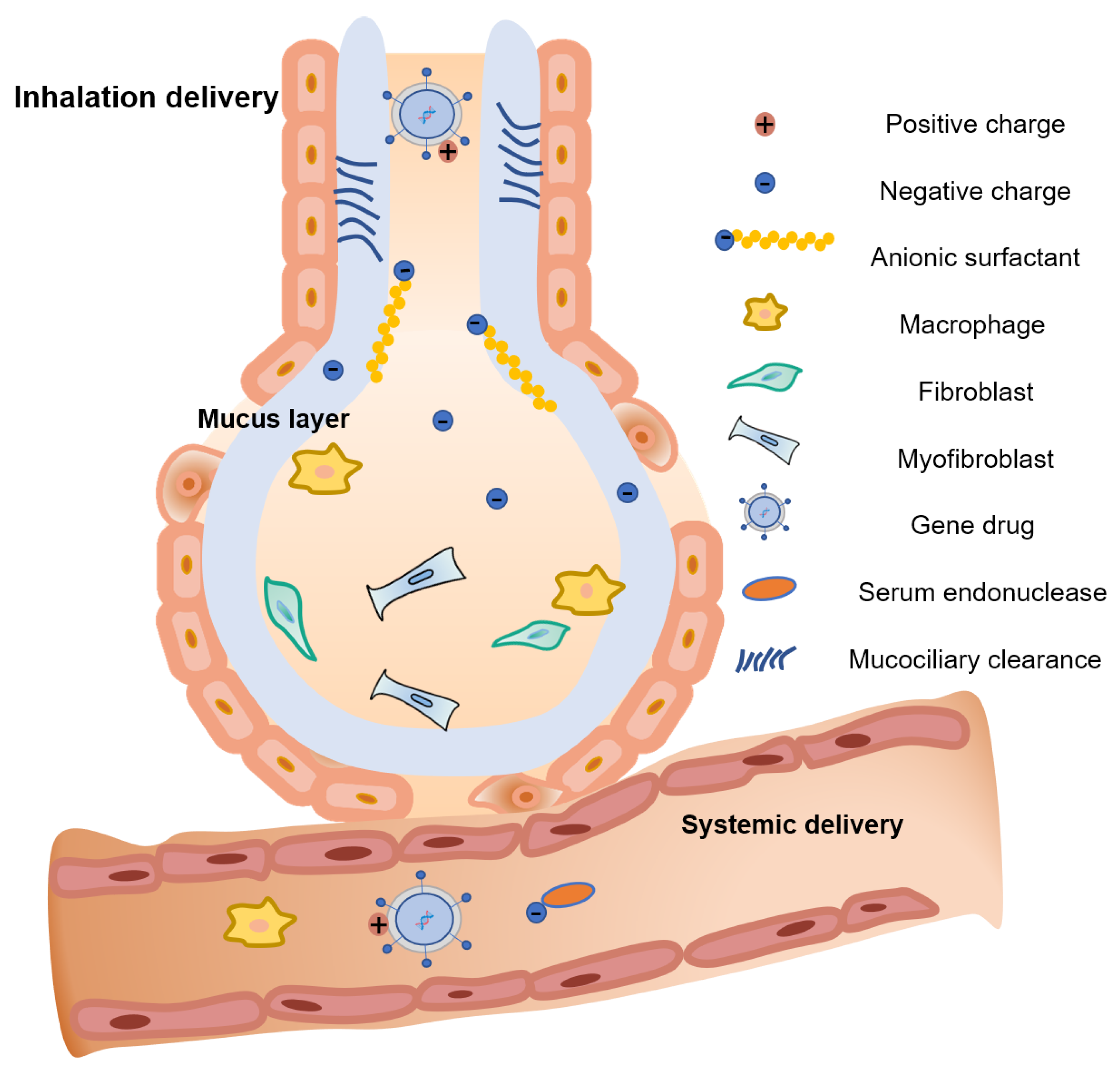 Pharmaceutics 14 00813 g002