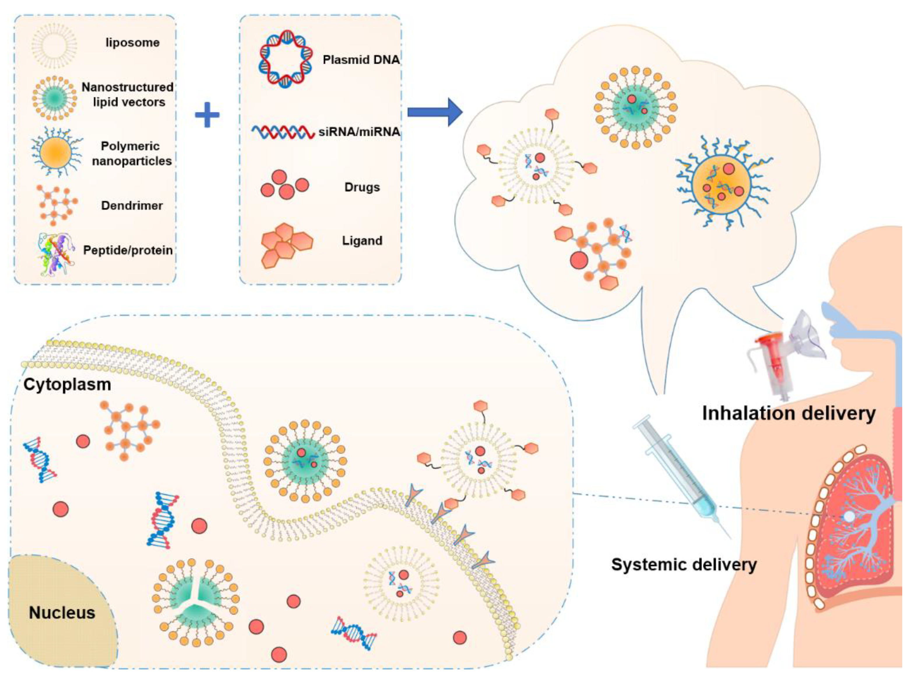 Pharmaceutics 14 00813 g003
