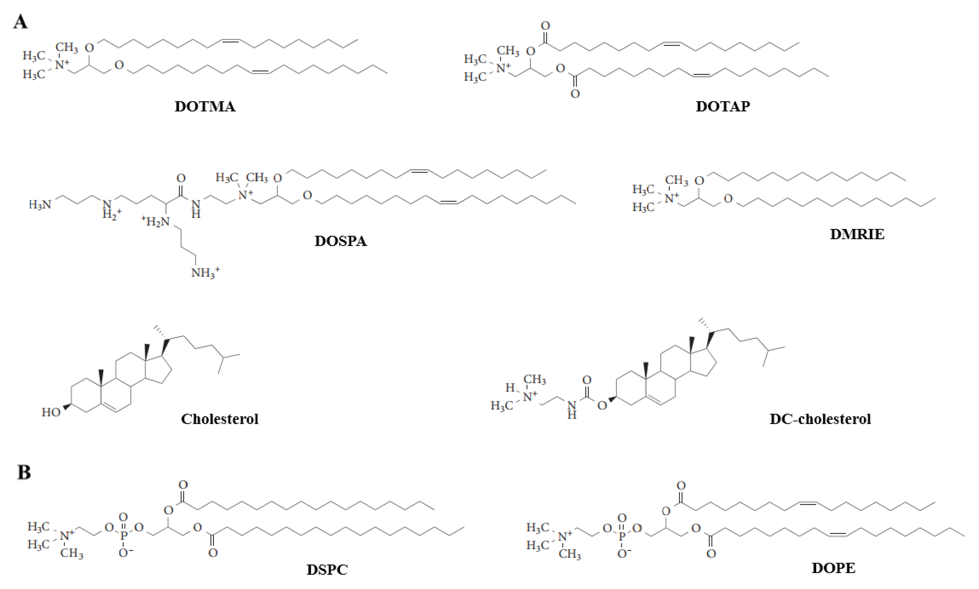 Pharmaceutics 14 00813 g004