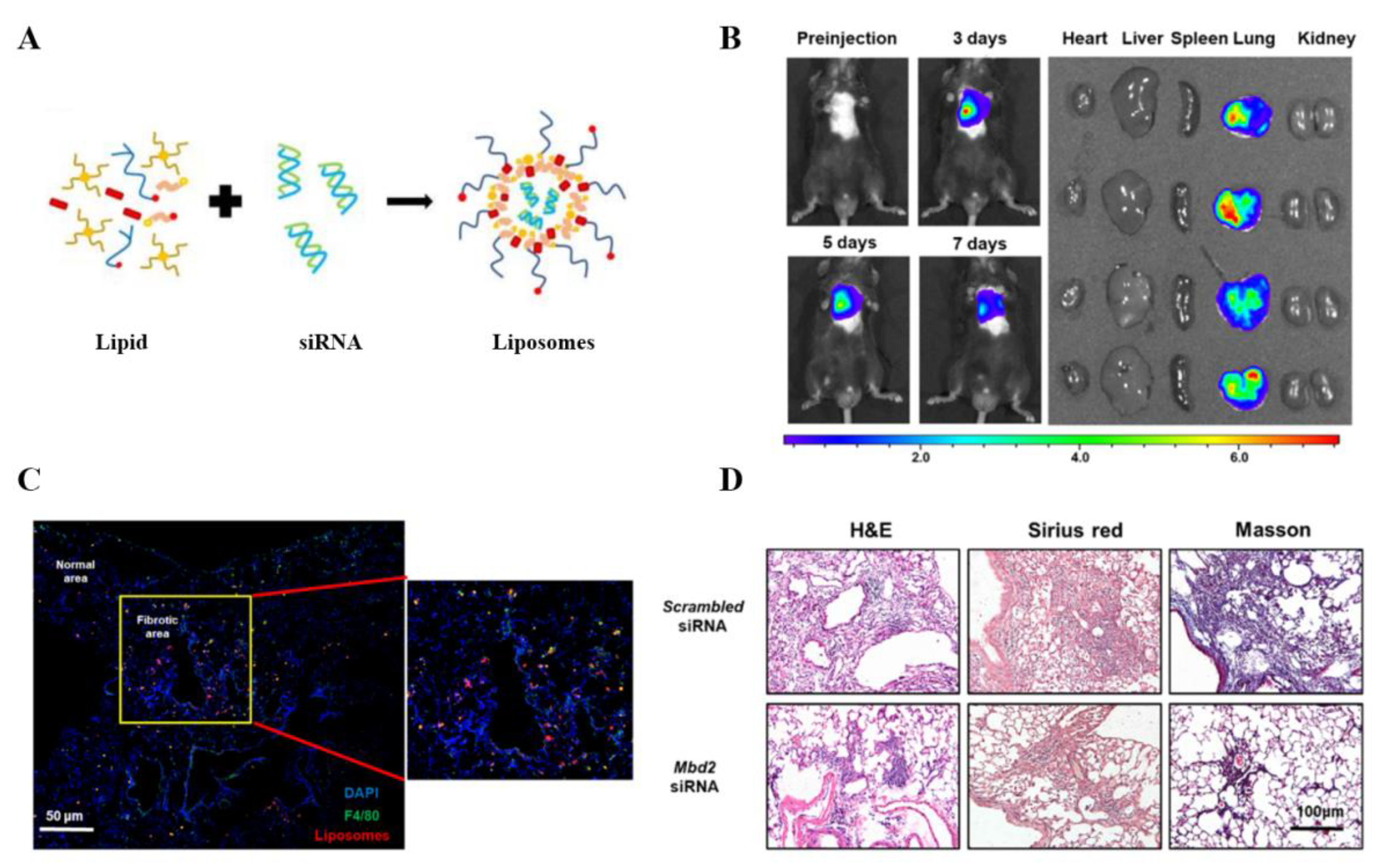 Pharmaceutics 14 00813 g005