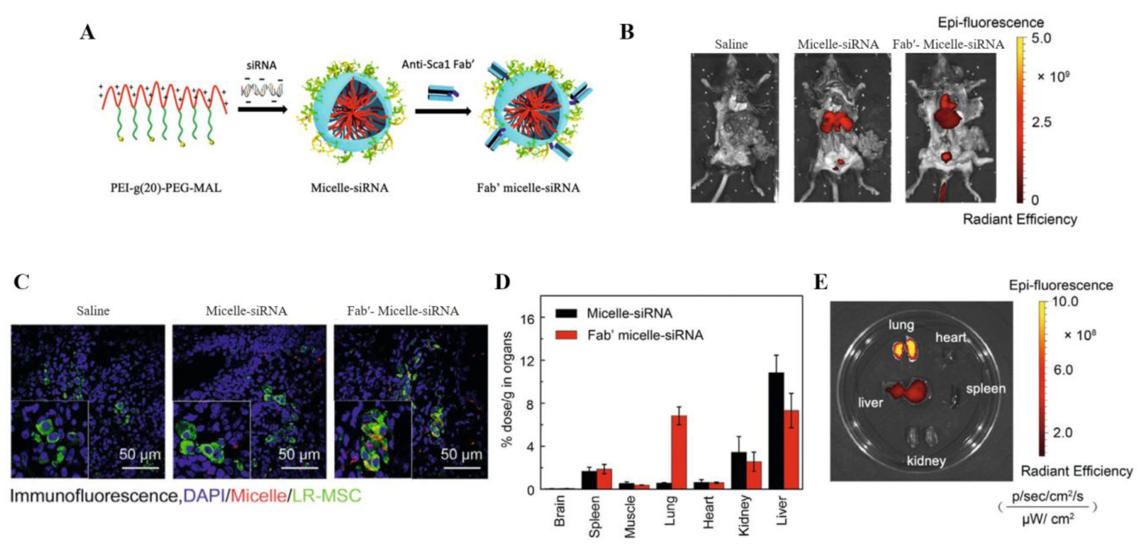 Pharmaceutics 14 00813 g007