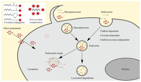 Treating Pulmonary Fibrosis with Non-Viral Gene Therapy