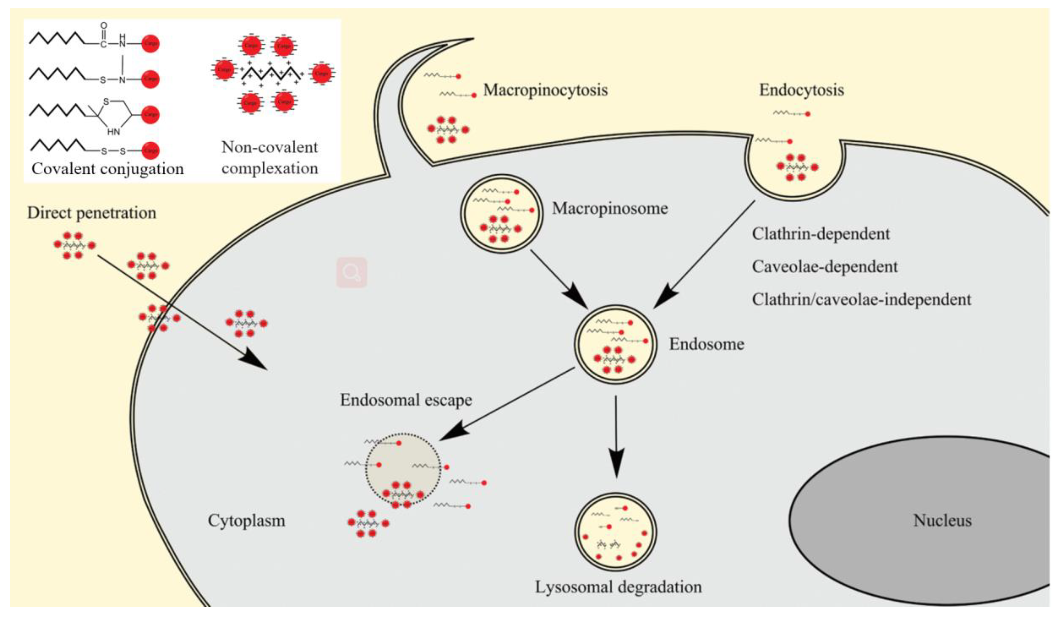 Pharmaceutics | Free Full-Text | Treating Pulmonary Fibrosis with 