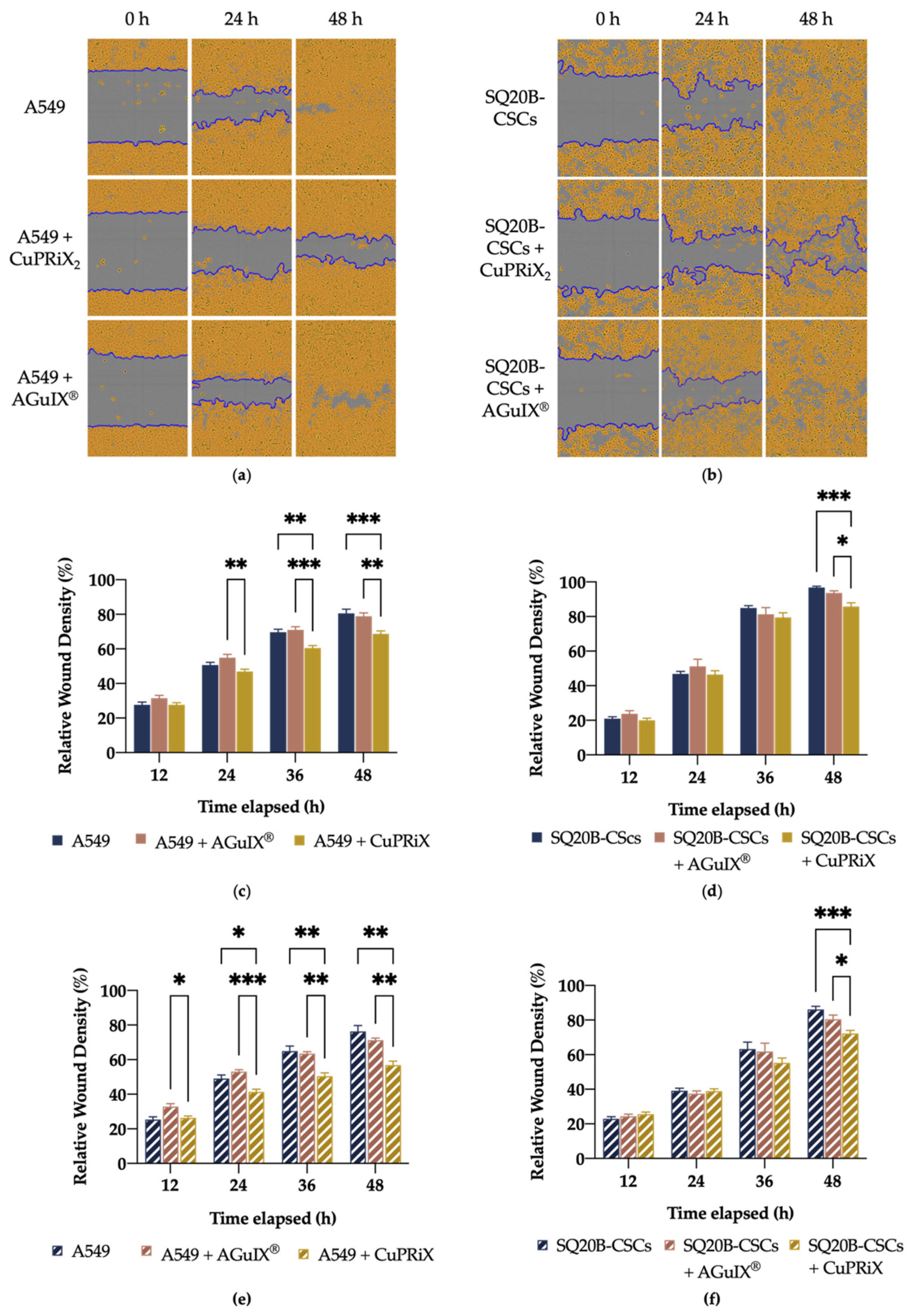Pharmaceutics 14 00814 g003