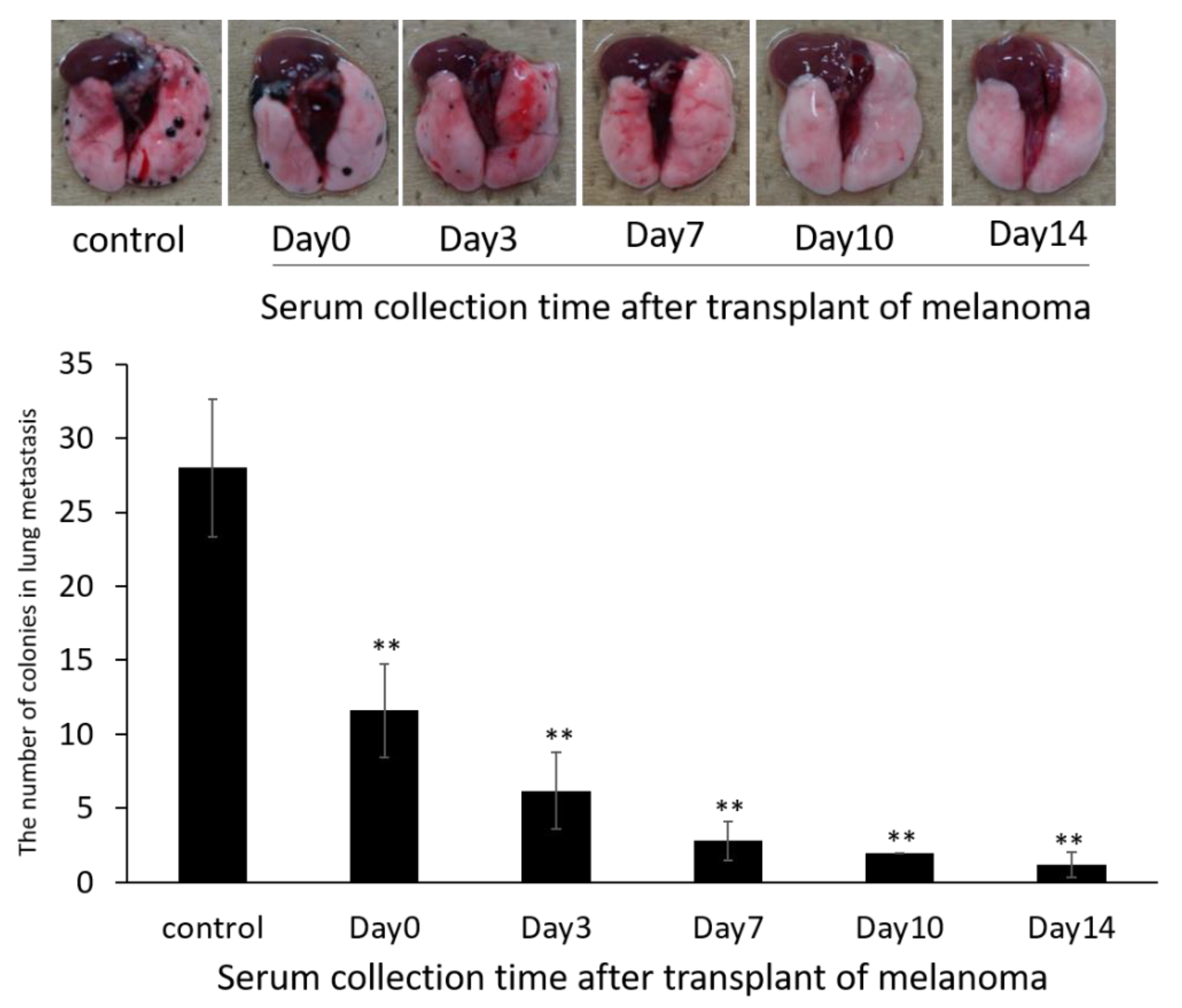 Pharmaceutics 14 00815 g005 550