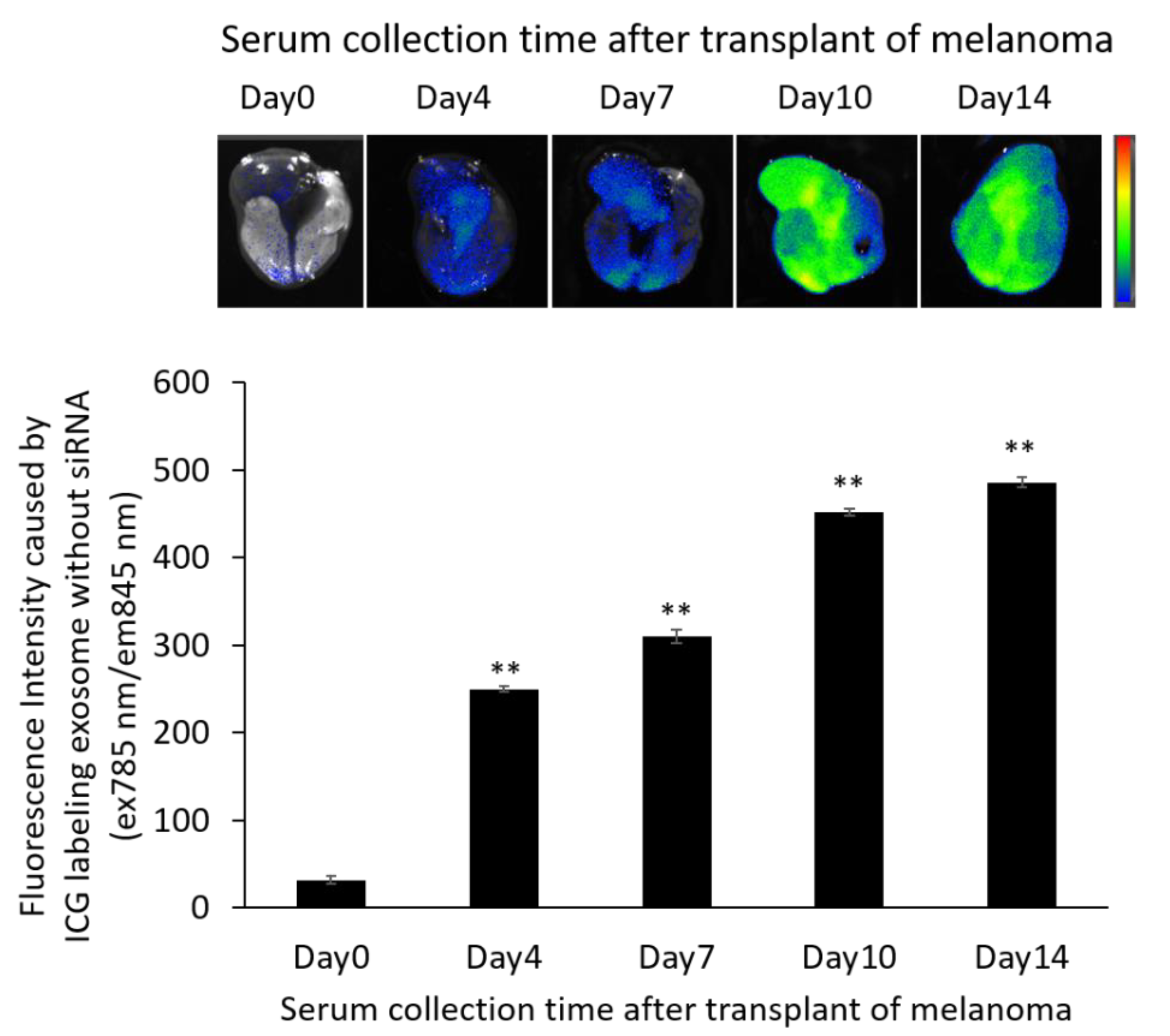 Pharmaceutics 14 00815 g006 550