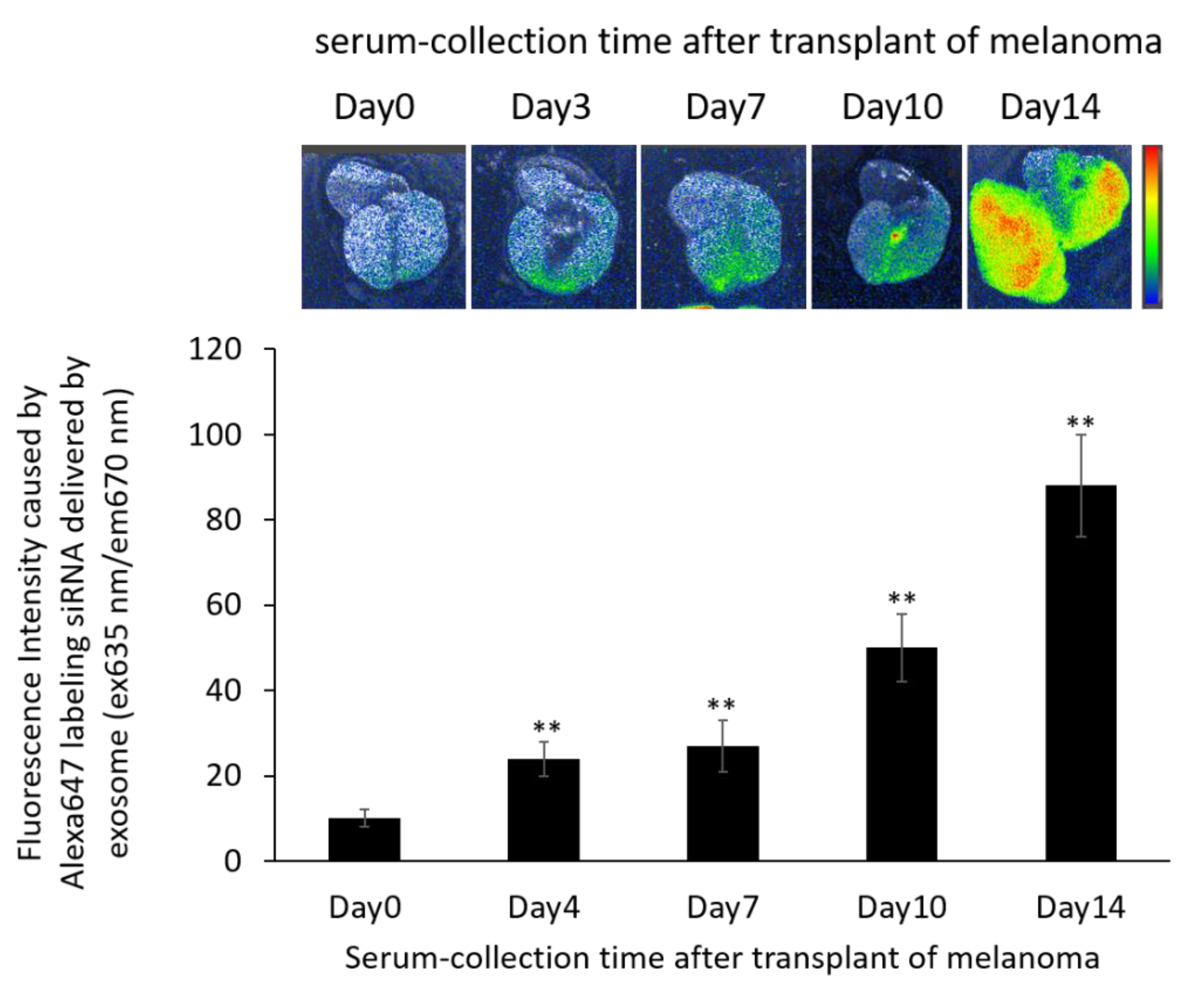 Pharmaceutics 14 00815 g007 550