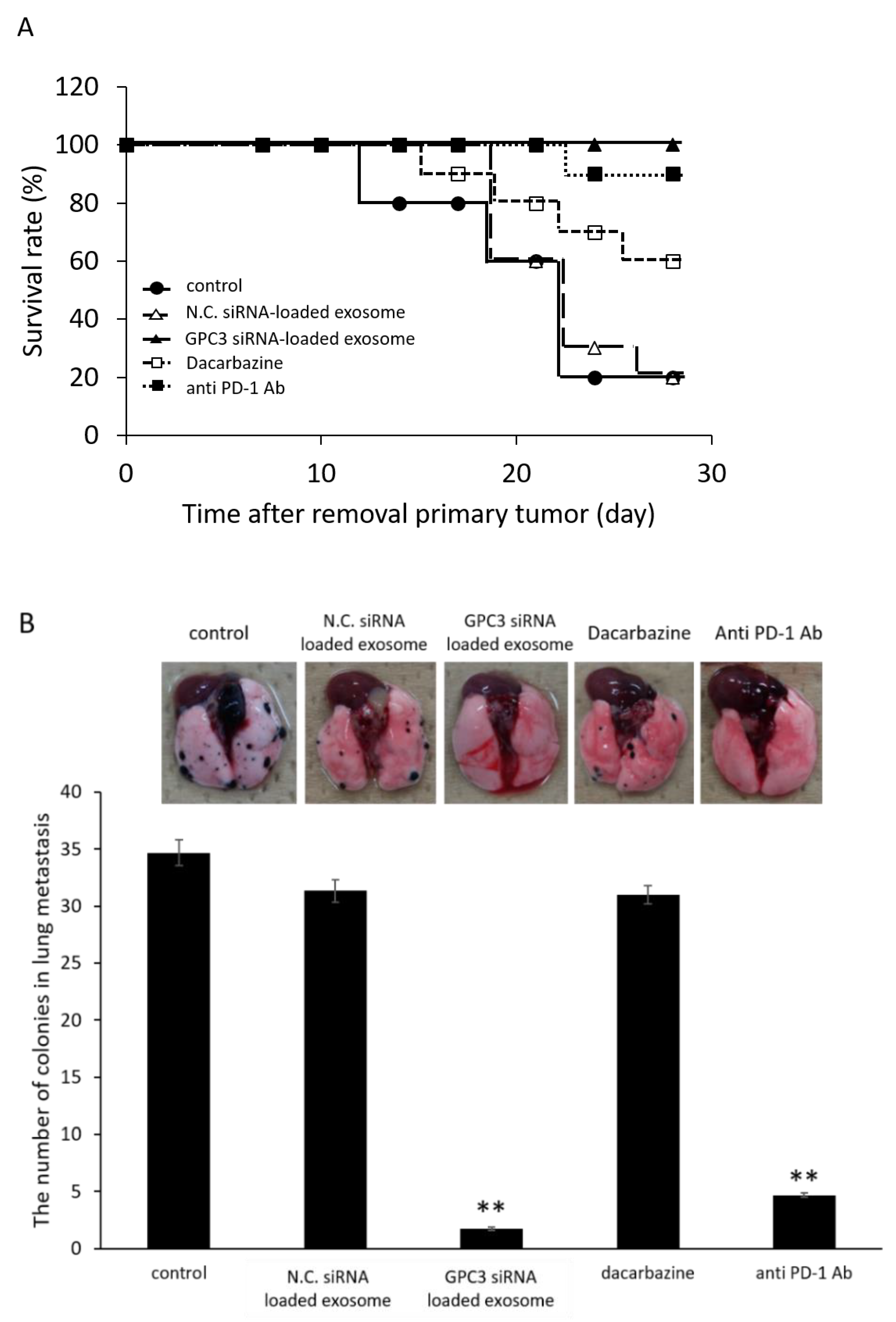 Pharmaceutics 14 00815 g008 550