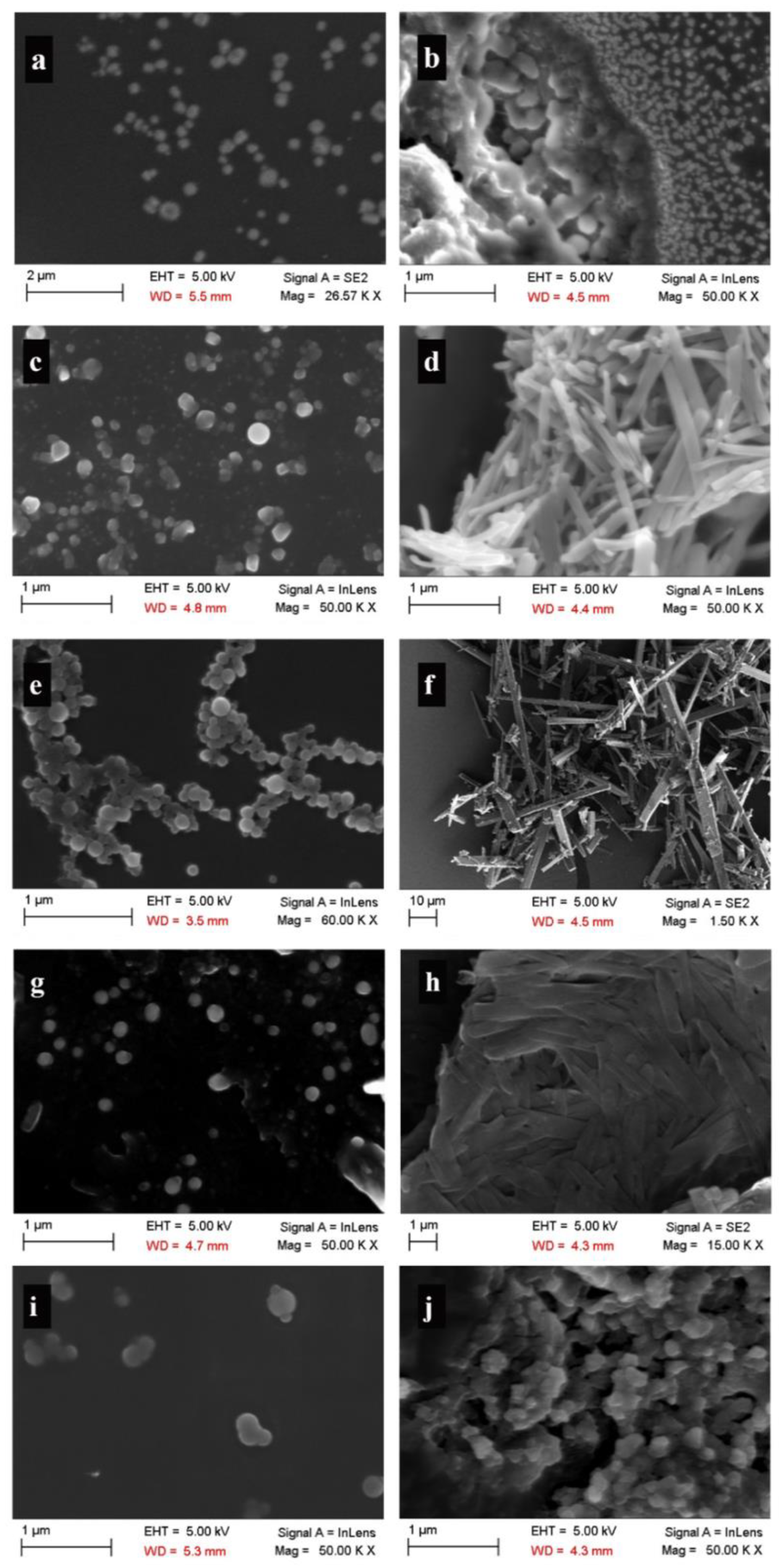 Pharmaceutics 14 00819 g003