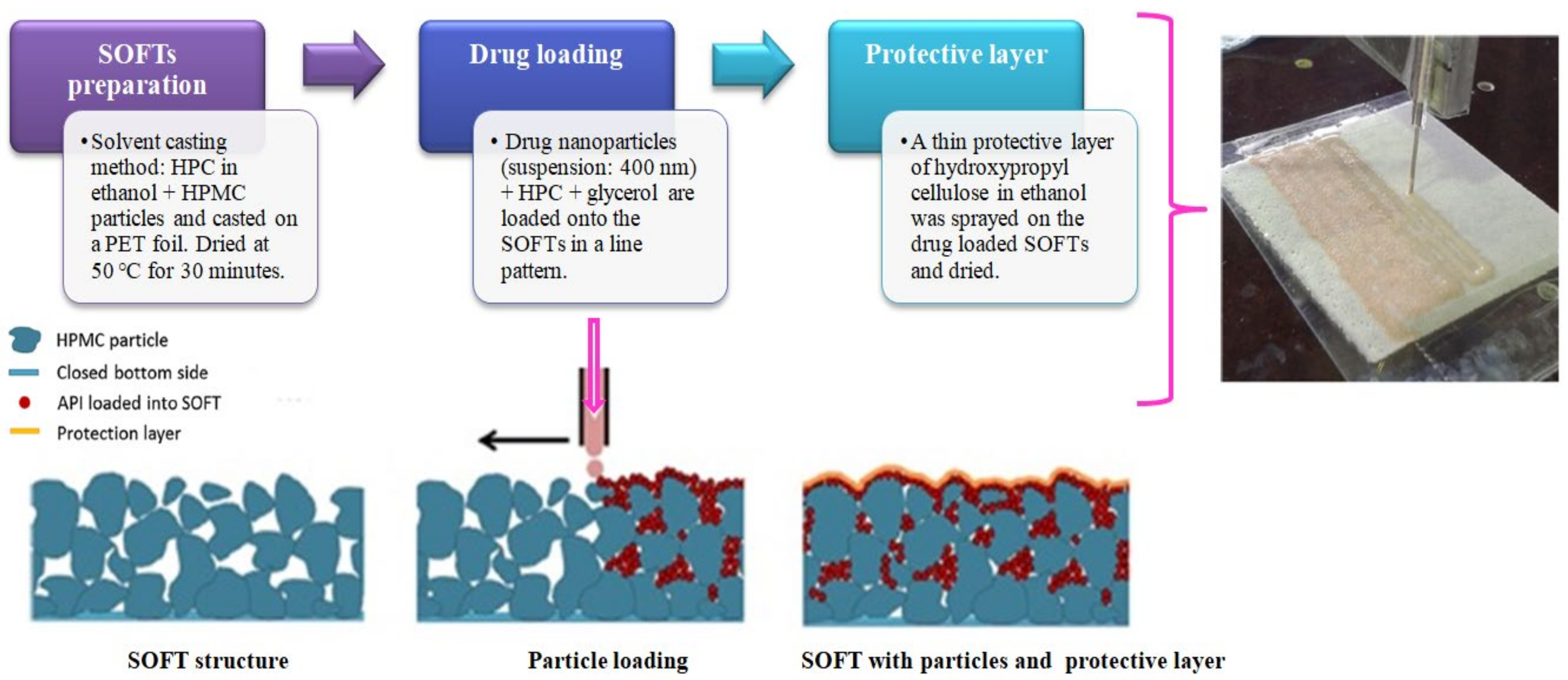 Pharmaceutics 14 00820 g009 550