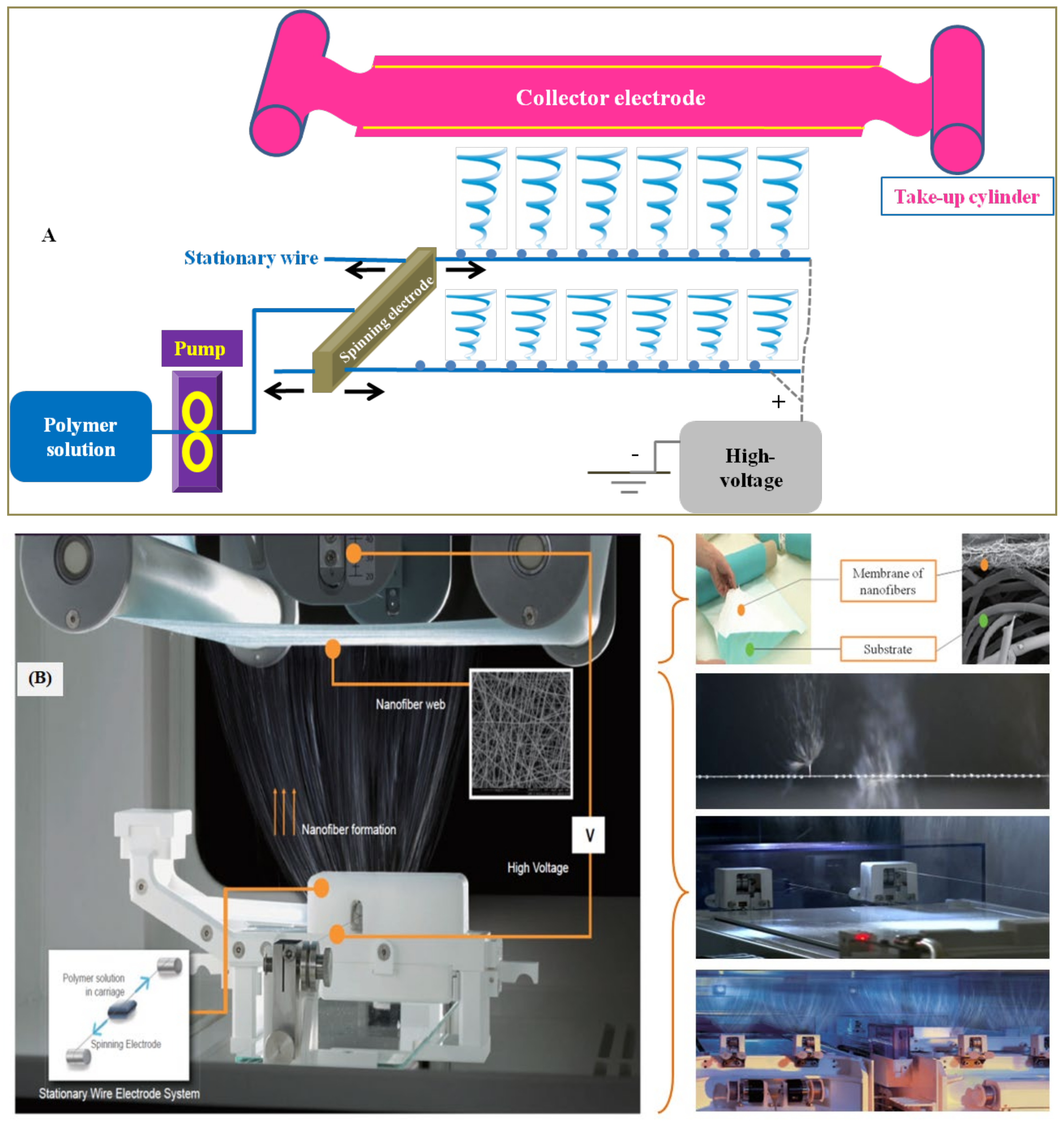 Pharmaceutics 14 00820 g014 550