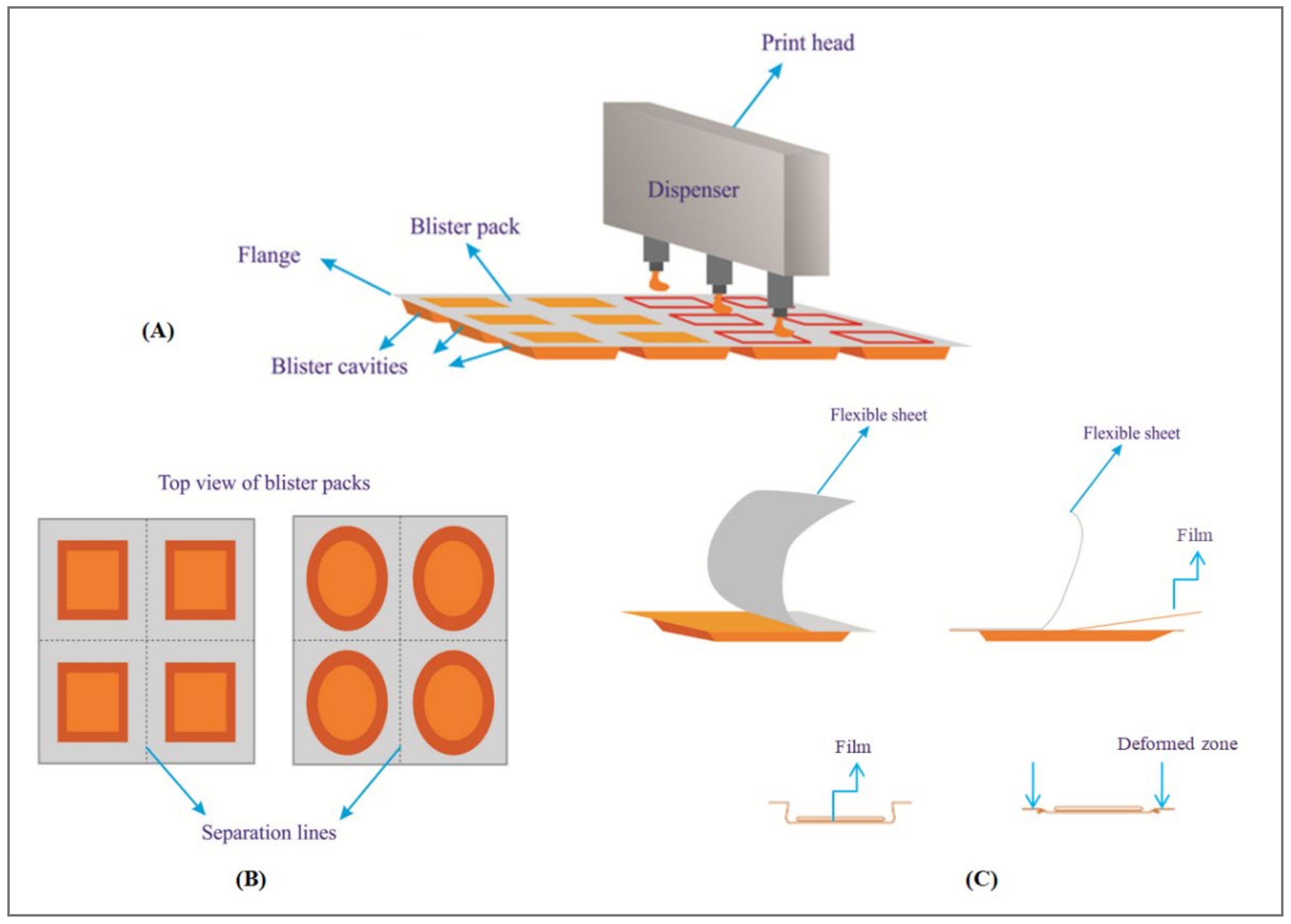 Pharmaceutics 14 00820 g018 550