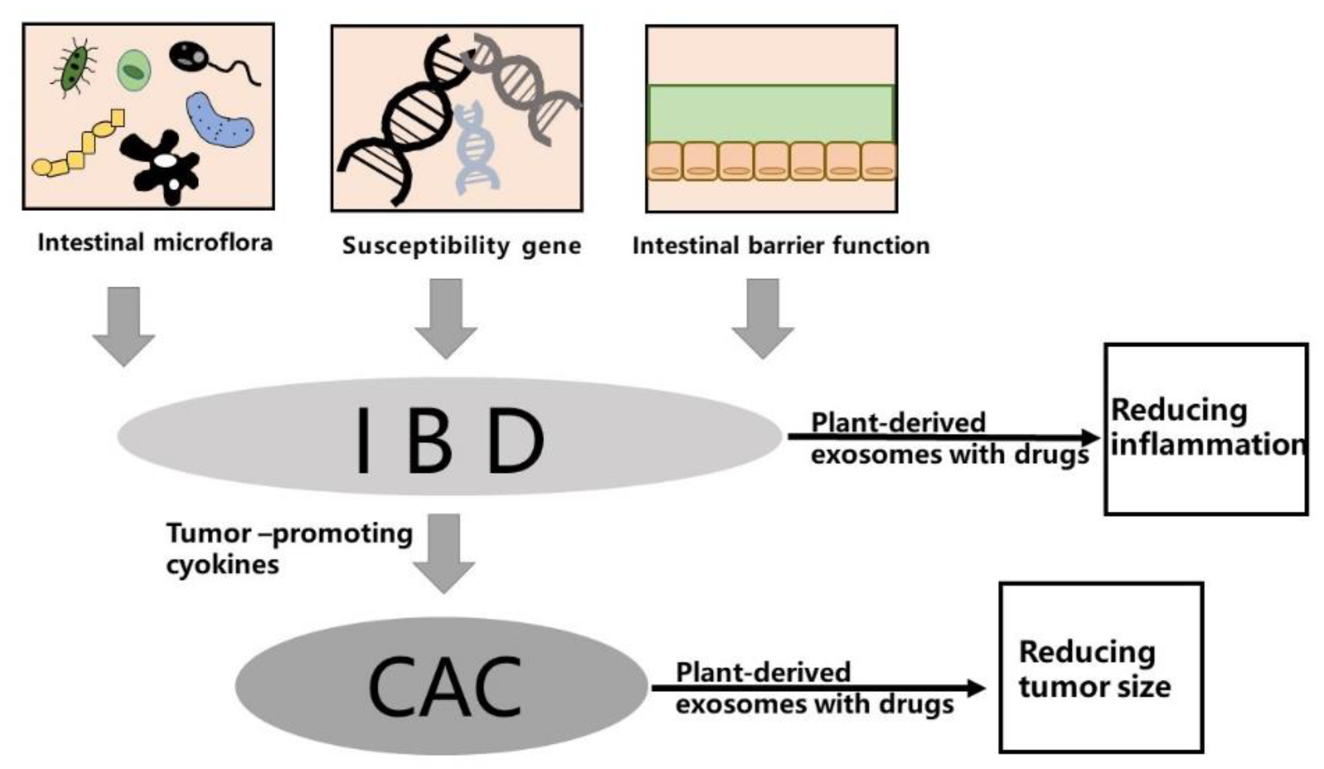 Pharmaceutics 14 00822 g001